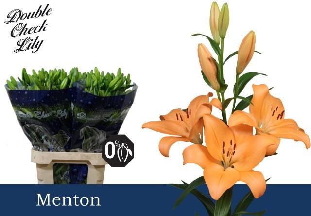 Лилия Ментон 90, шт.