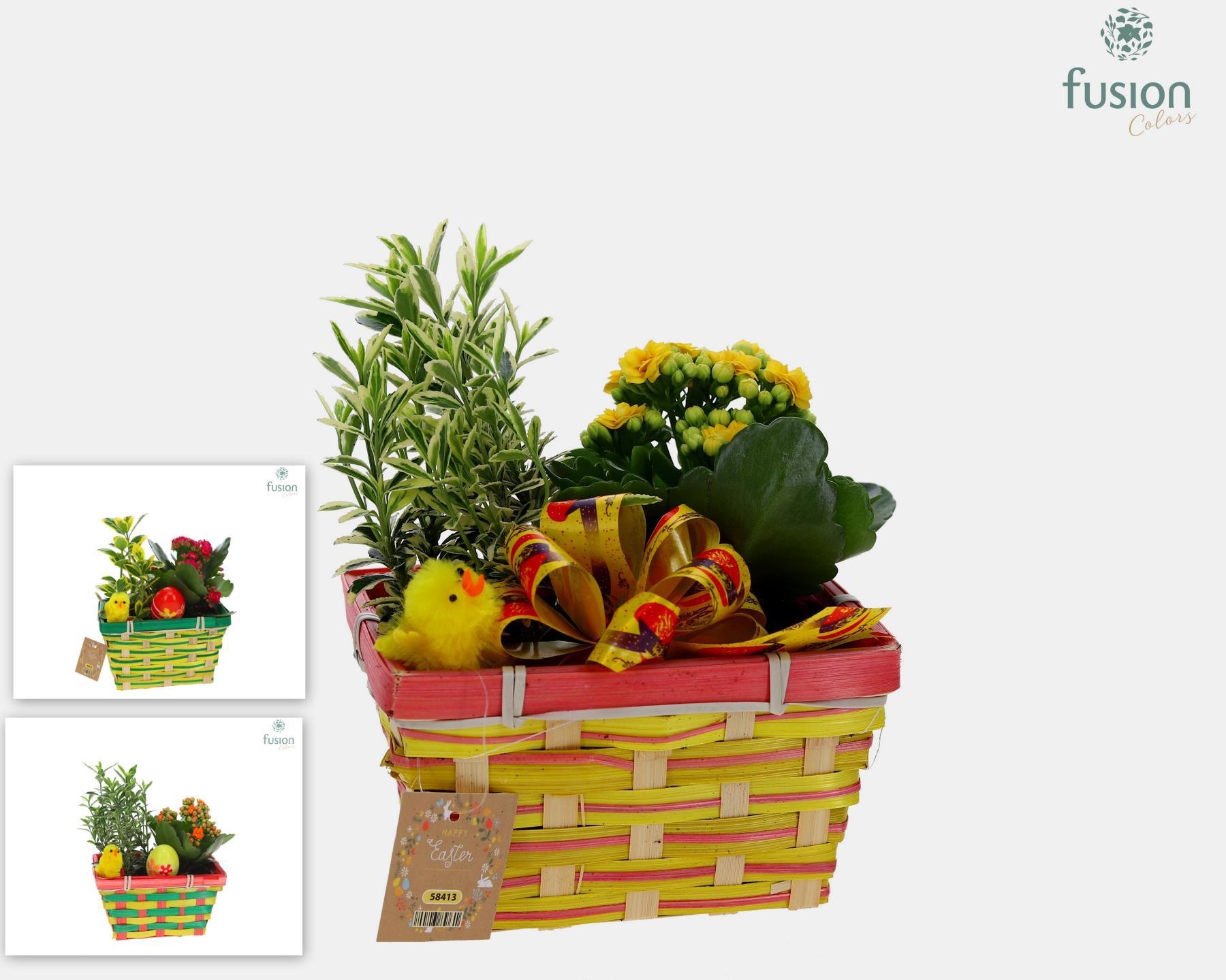 Pasen Rieten mand Met arrangement, D 16