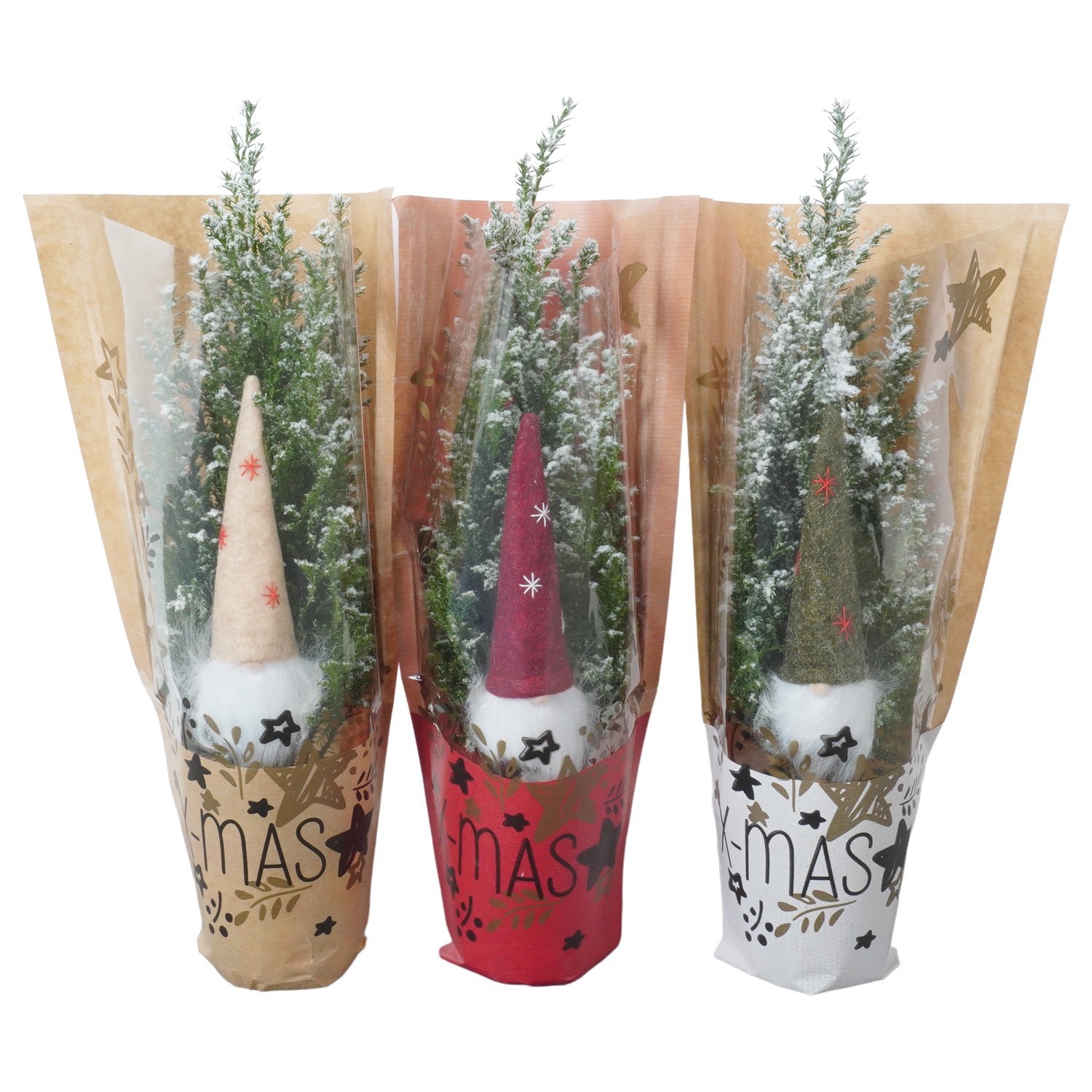 PTK26708 Ellwoodii met sneeuw, kersthoes en decoratie, D 9