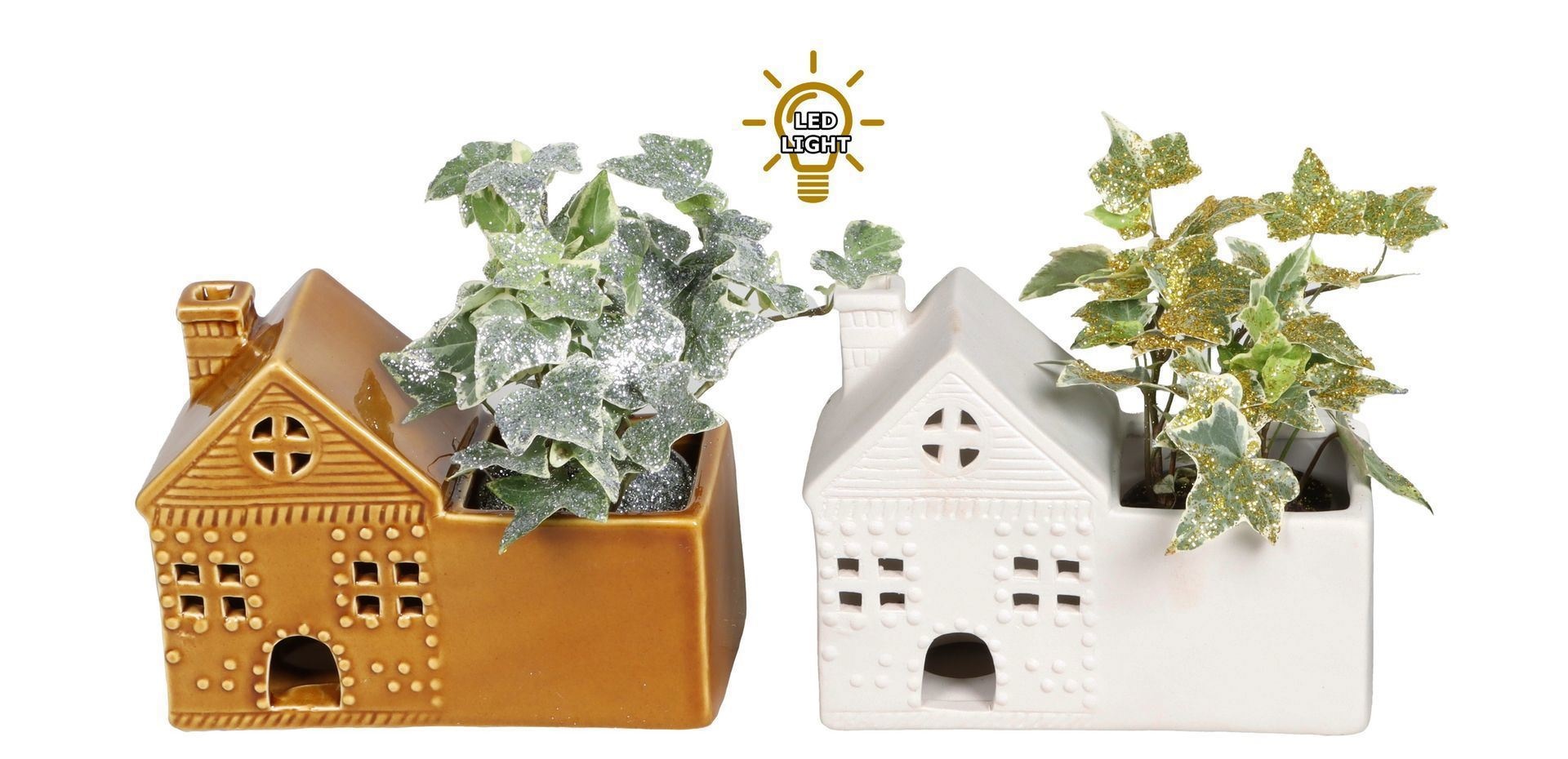 L 67466 With Hedera Helix Mix Glitter 6 cm, D 6