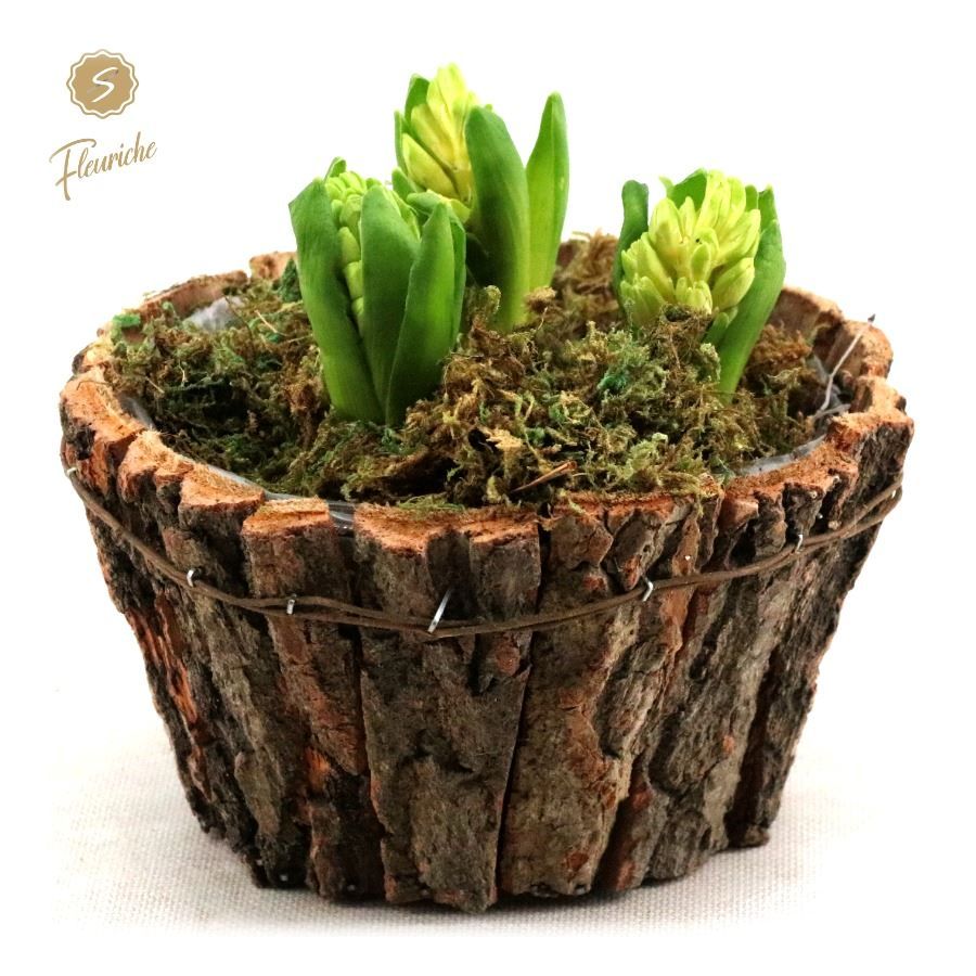 (DN501) Hyacint Bark Box Round, D 19 cm