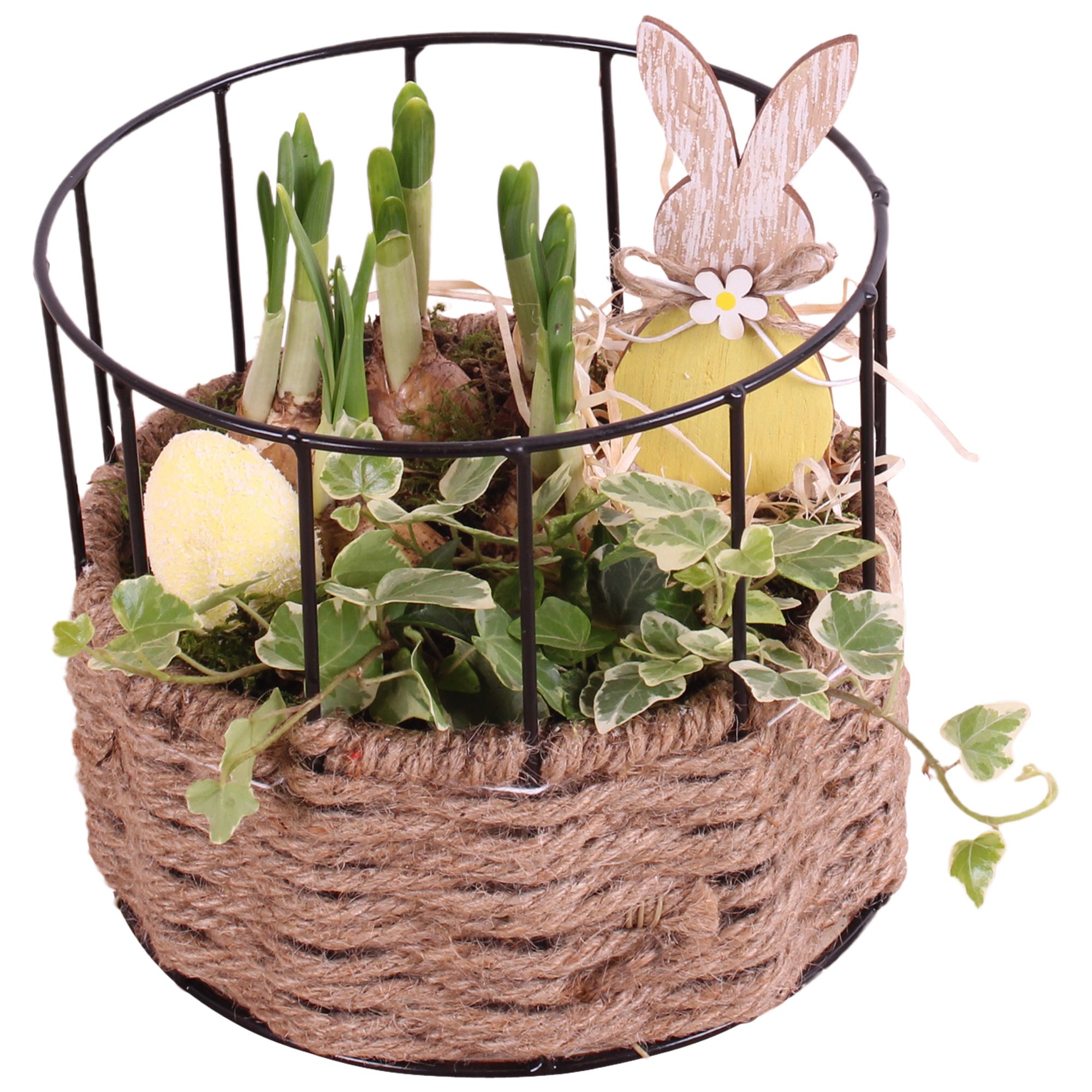Easter Arr. Indoor Metal Frame Rope pot Round Ø17cm 2PP, D 17