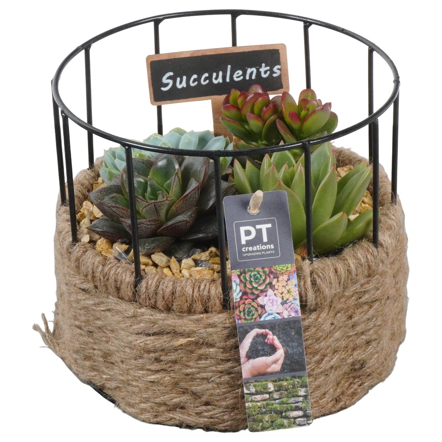 PTSU8504 Arrangement Succulenten in touwmand met metaal, D 17