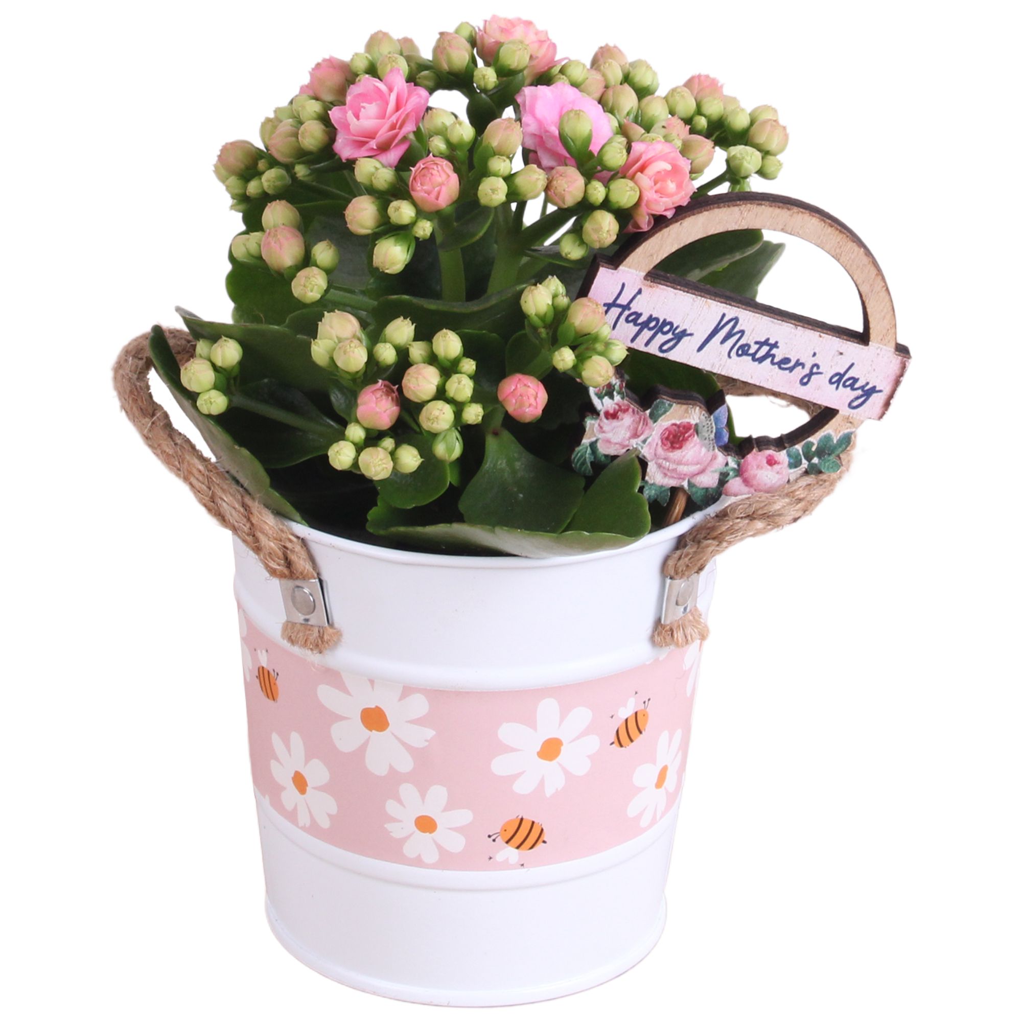 Mothersday Arr. Indoor Zinc White + Flowers & Bees Ø10cm 1PP, D 10