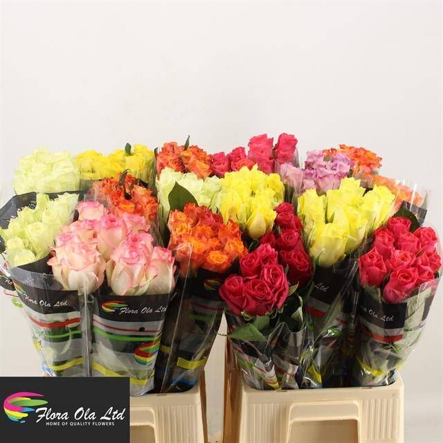 Роза од. Микс в баке 60, шт.