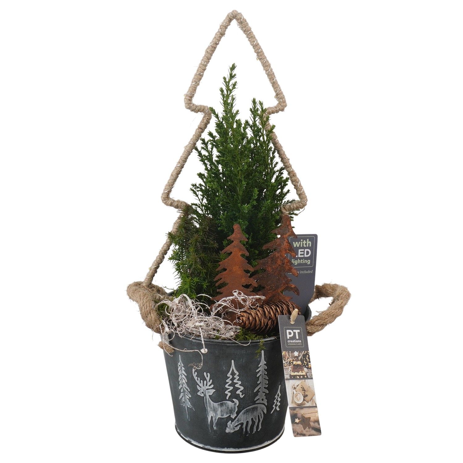 PTCWW6904 Arrangement Winter in metalen pot, D 15 cm