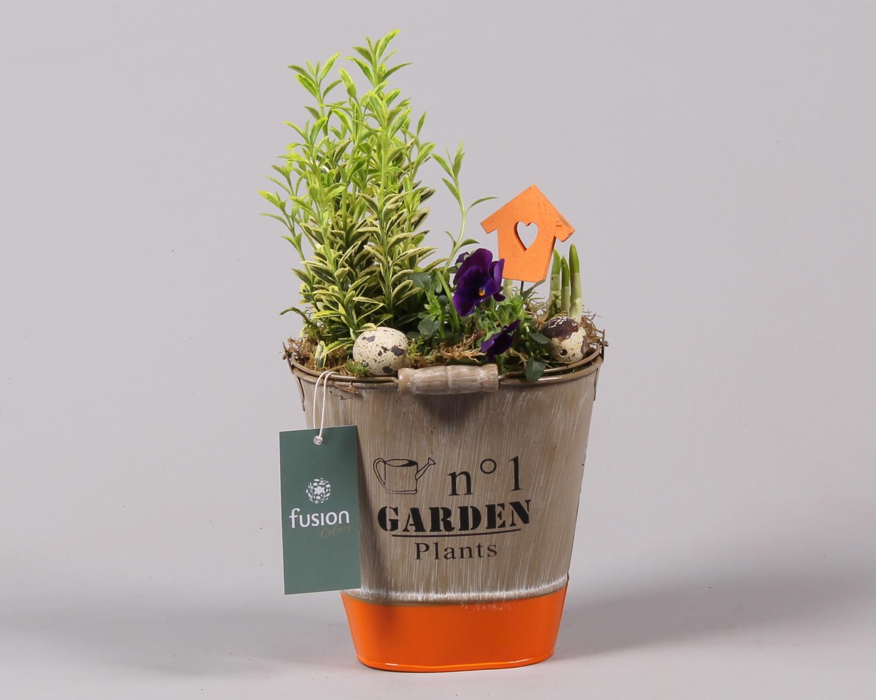 Pasen zinken emmer ovaal hoog met, D 17