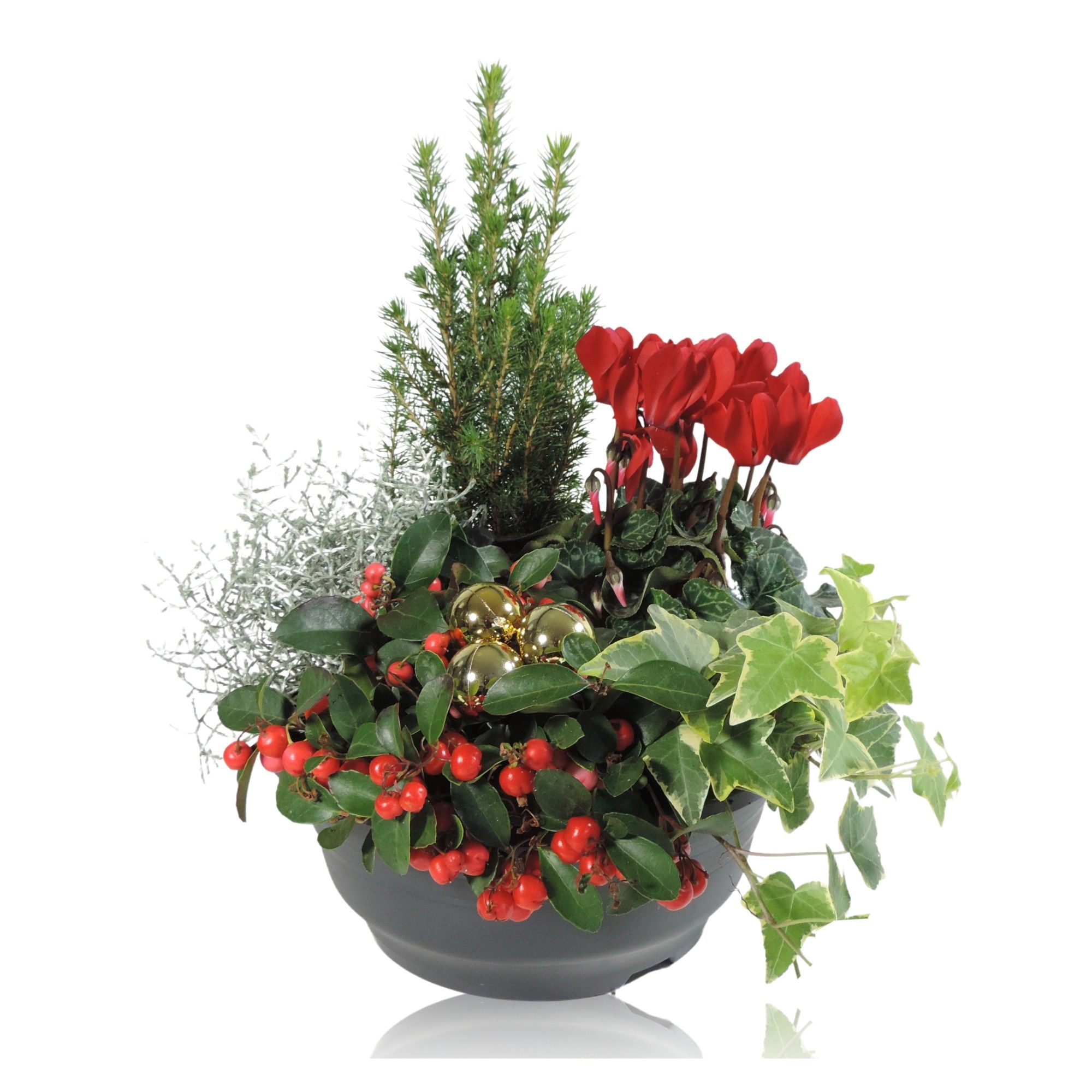 Arrangement Winter Classic in Schaal 23 cm Kerst, D 23