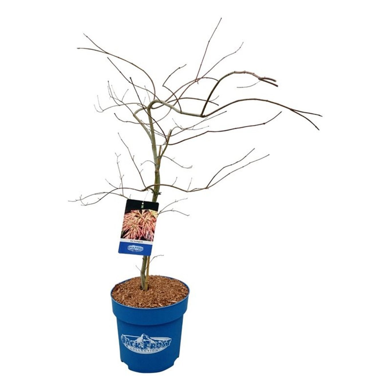 Acer Ice Dragon ®, D 32