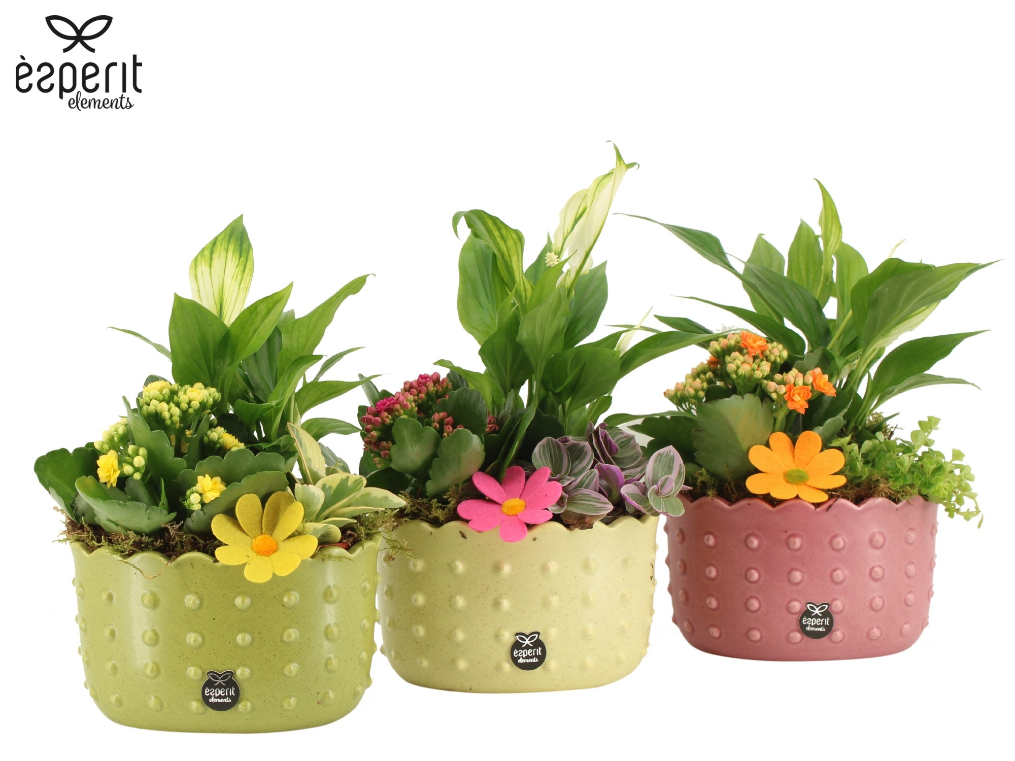 31734: Reinvention arrangement, D 17