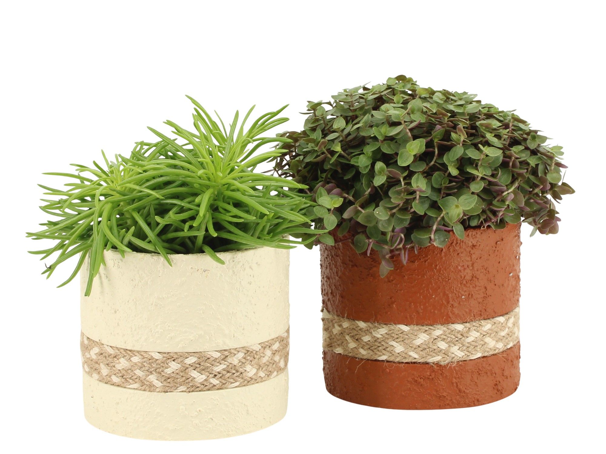 7504326: Solutionss Treasure time, D 10,5 cm 7504326: Solutionss Treasure time, D 10,5 cm