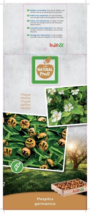 Mespilus germanica hoogstam Mispel, D 31