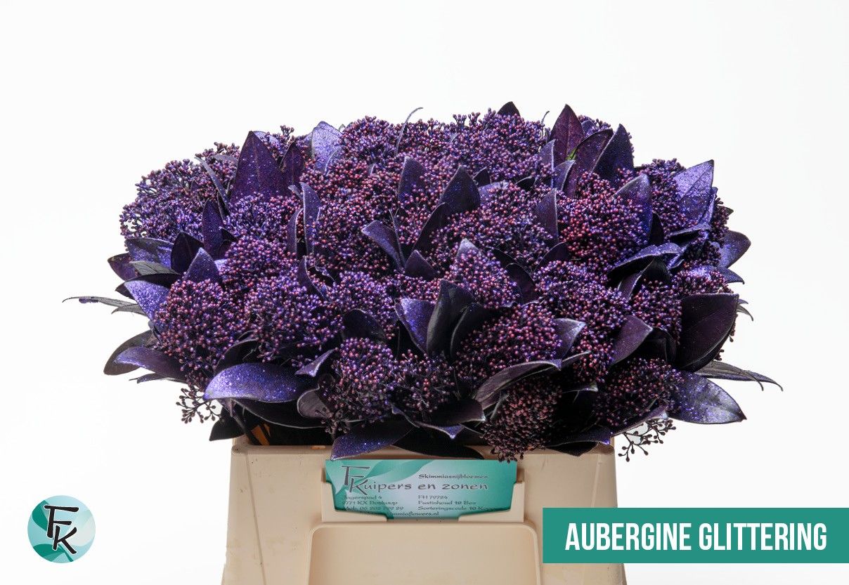 Скимия Овериг крашеный за пучок (краш. ) 45, пуч.