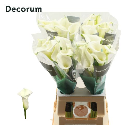 Калла Кристал Блаш 70, шт.