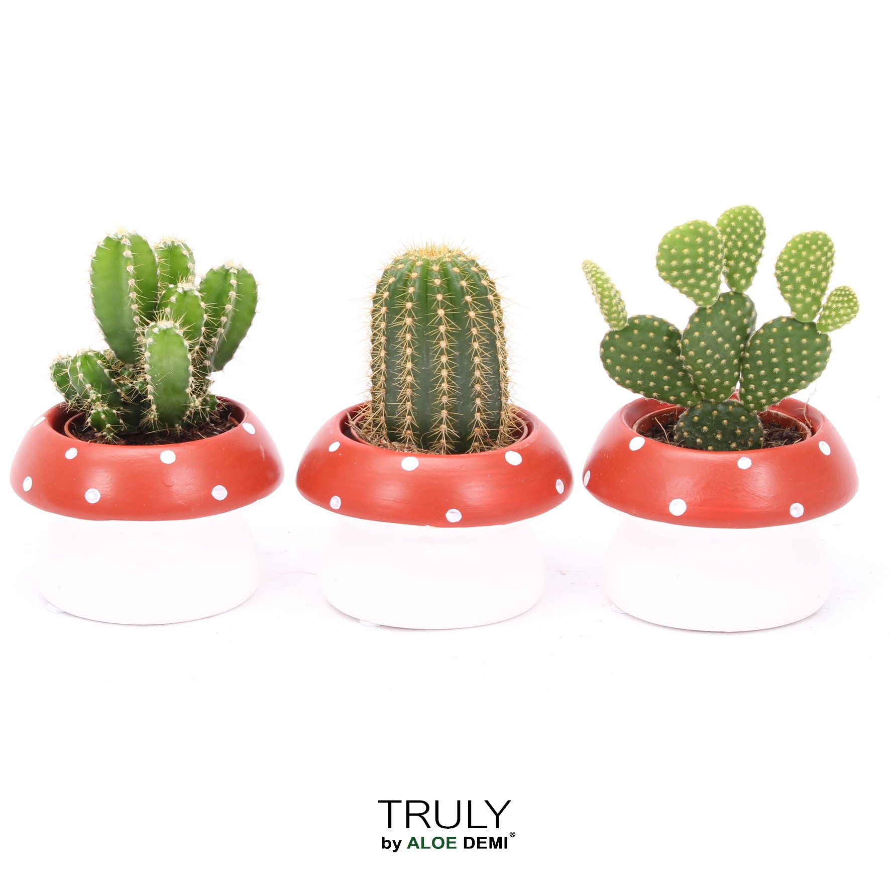 TRULY Cactus, mushroom, D 9