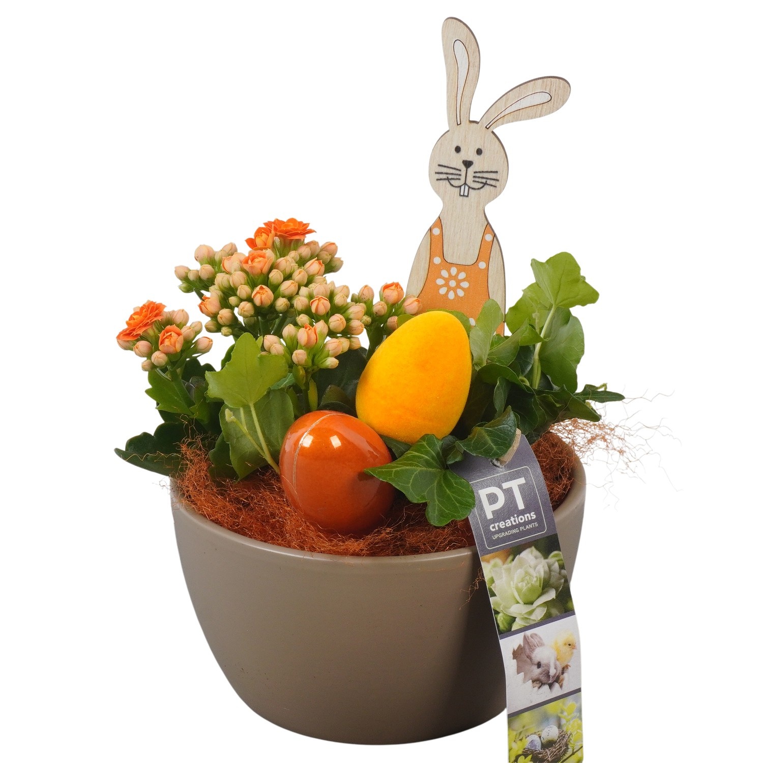 PTPB6526 Arrangement Easter in keramiek schaal, D 14