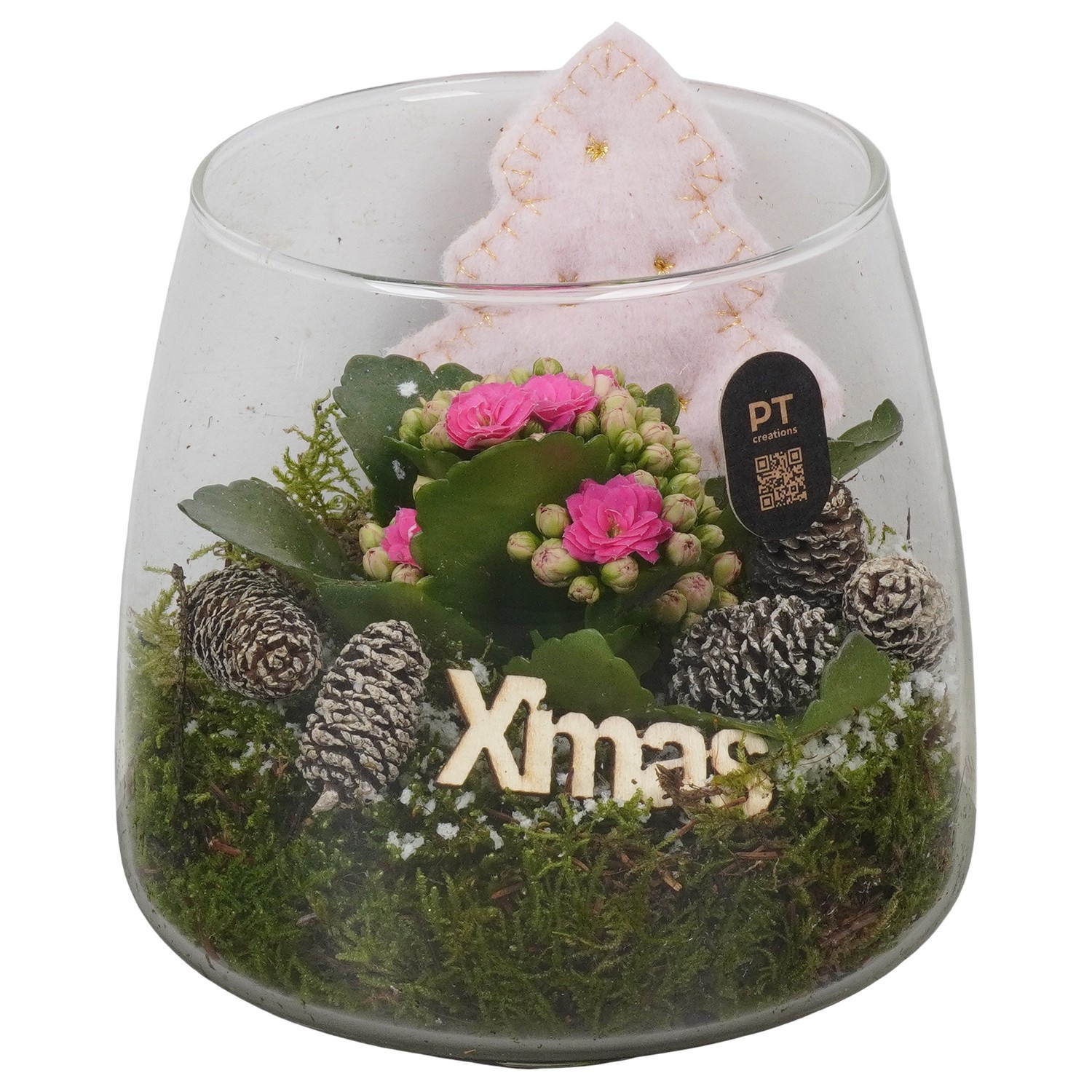 PTCHP8406 Arrangement Christmas Pink in glazen vaas, D 14