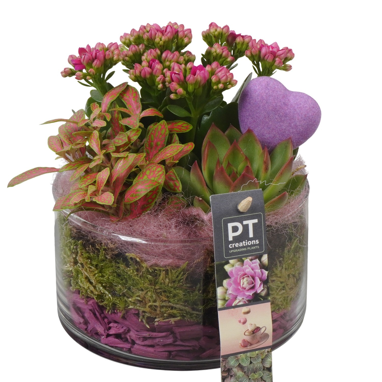 PTVMG4921 Arrangement Valentines-Mothersday in glas schaal, D 14