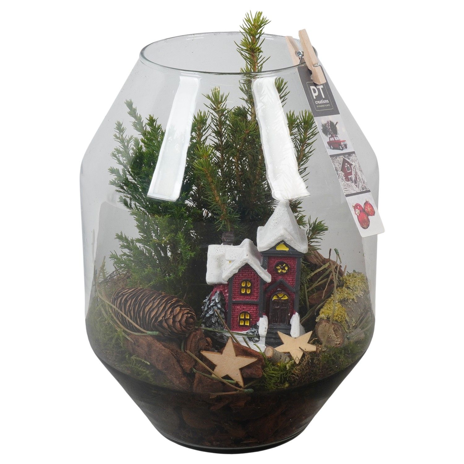 PTCWW6839 Arrangement Winter in glazen vaas, D 19 cm