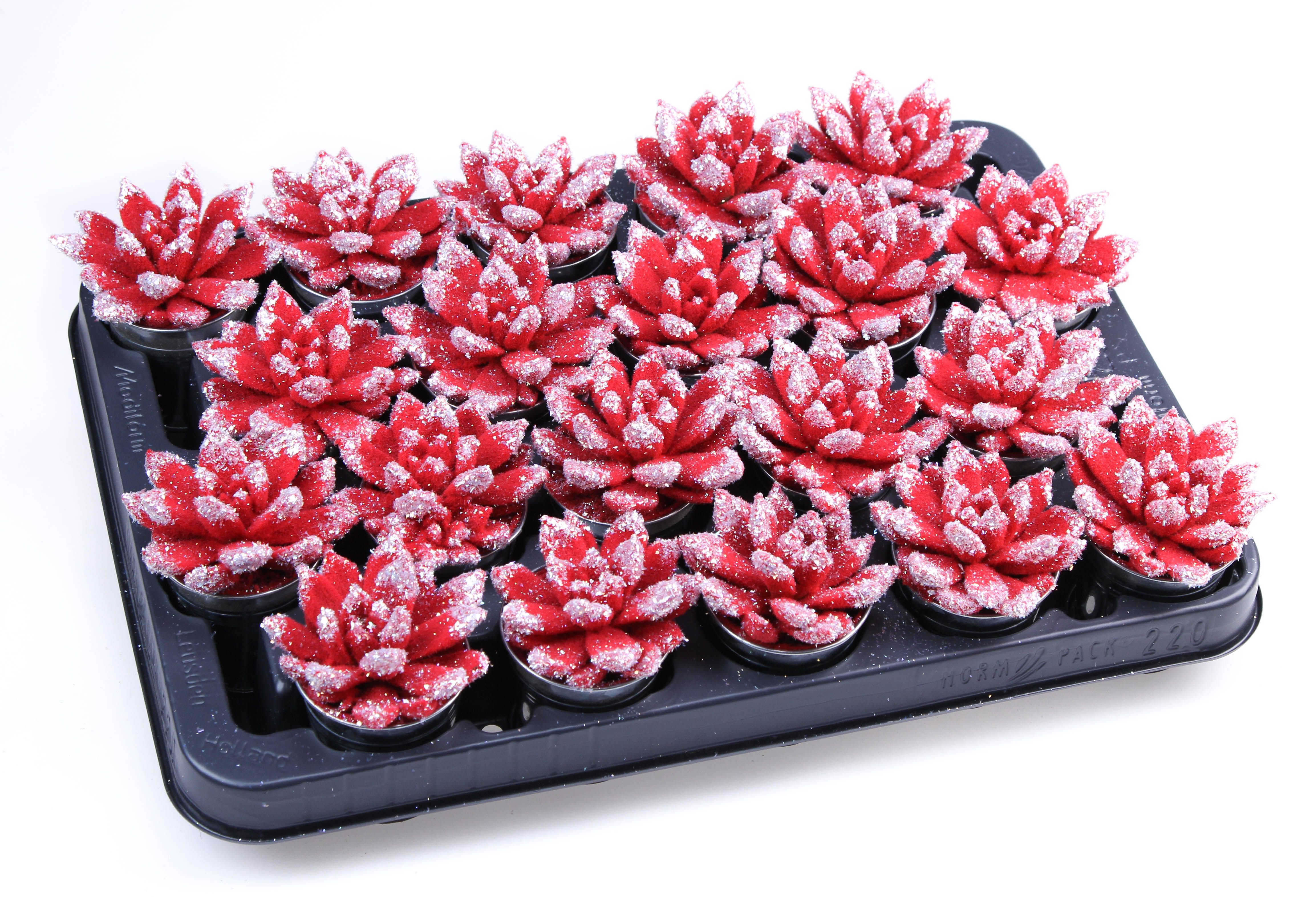 Velvet glittertips White zink, D 5,5