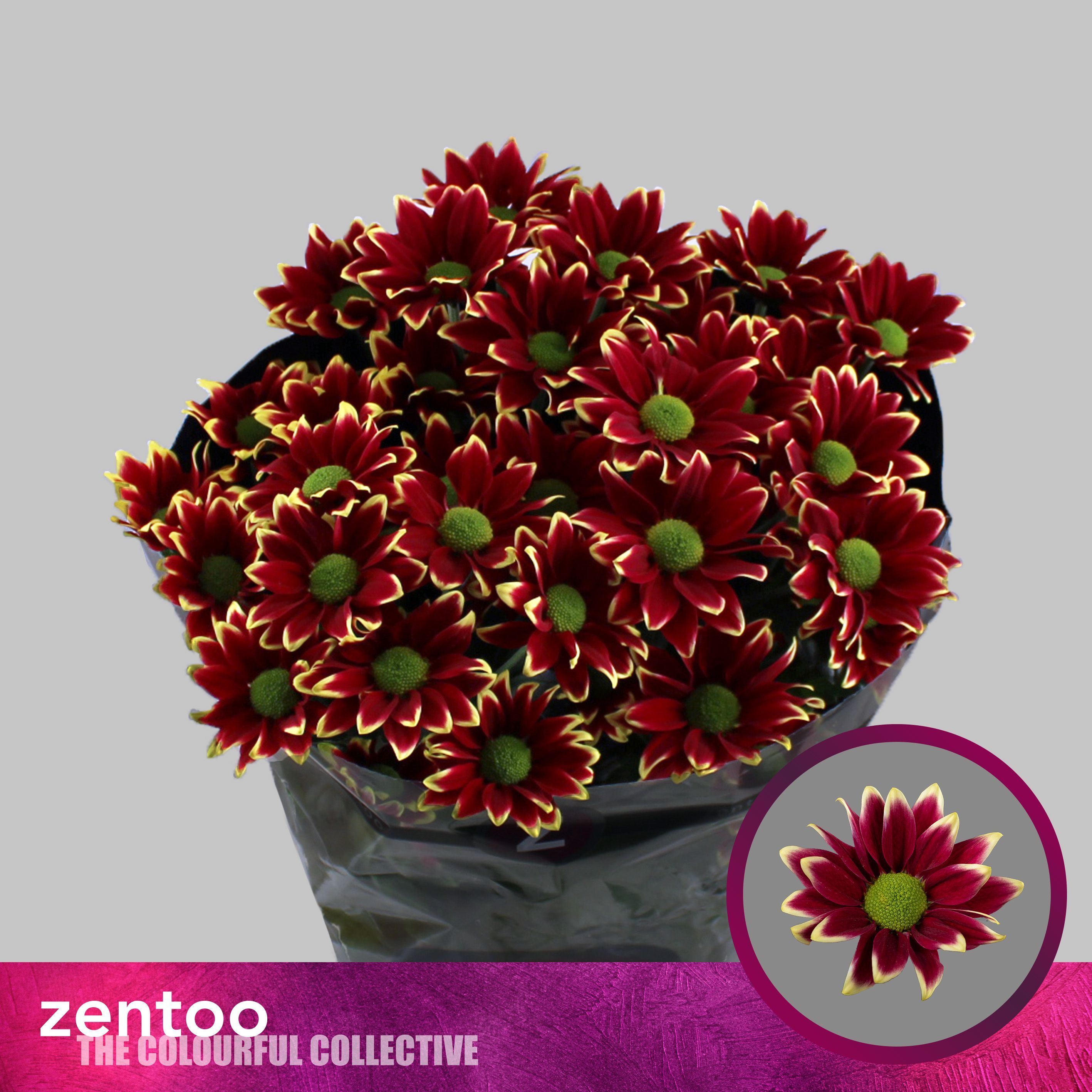 Хризантема куст. Гайдар Еллоу 70, шт.