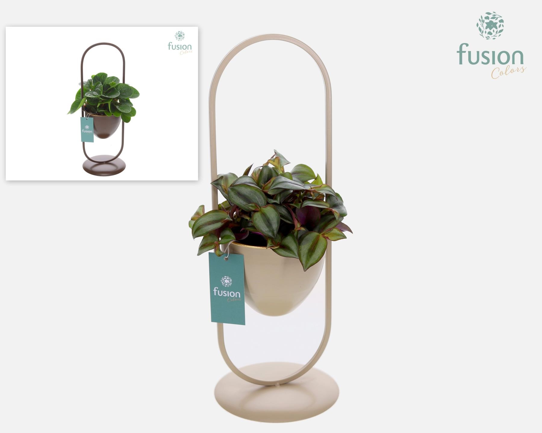 Metaal rek met 1 pot div. kleuren met groene plant, D 15