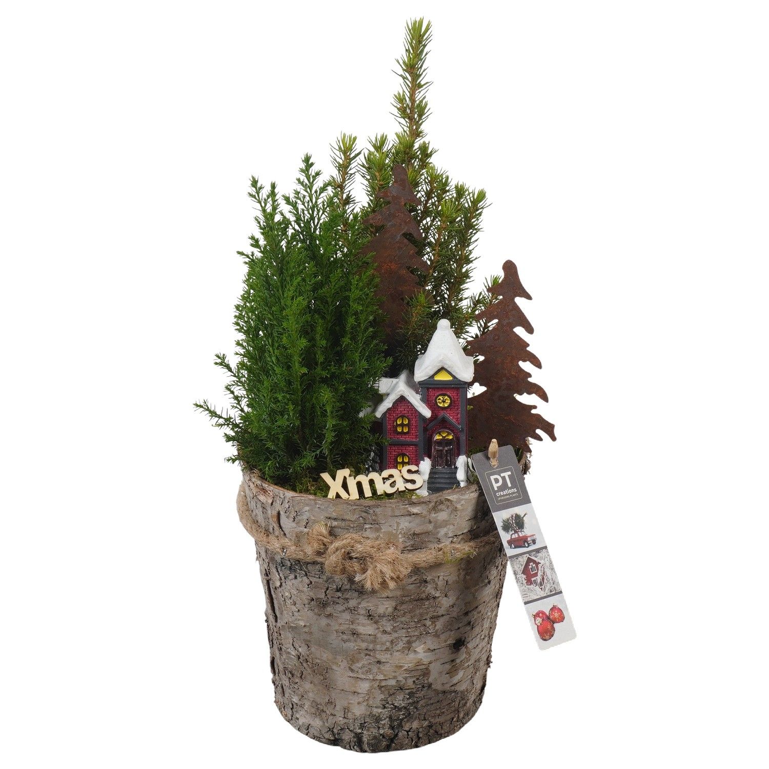 PTCWW6877 Arrangement Winter in houten bak, D 15 cm