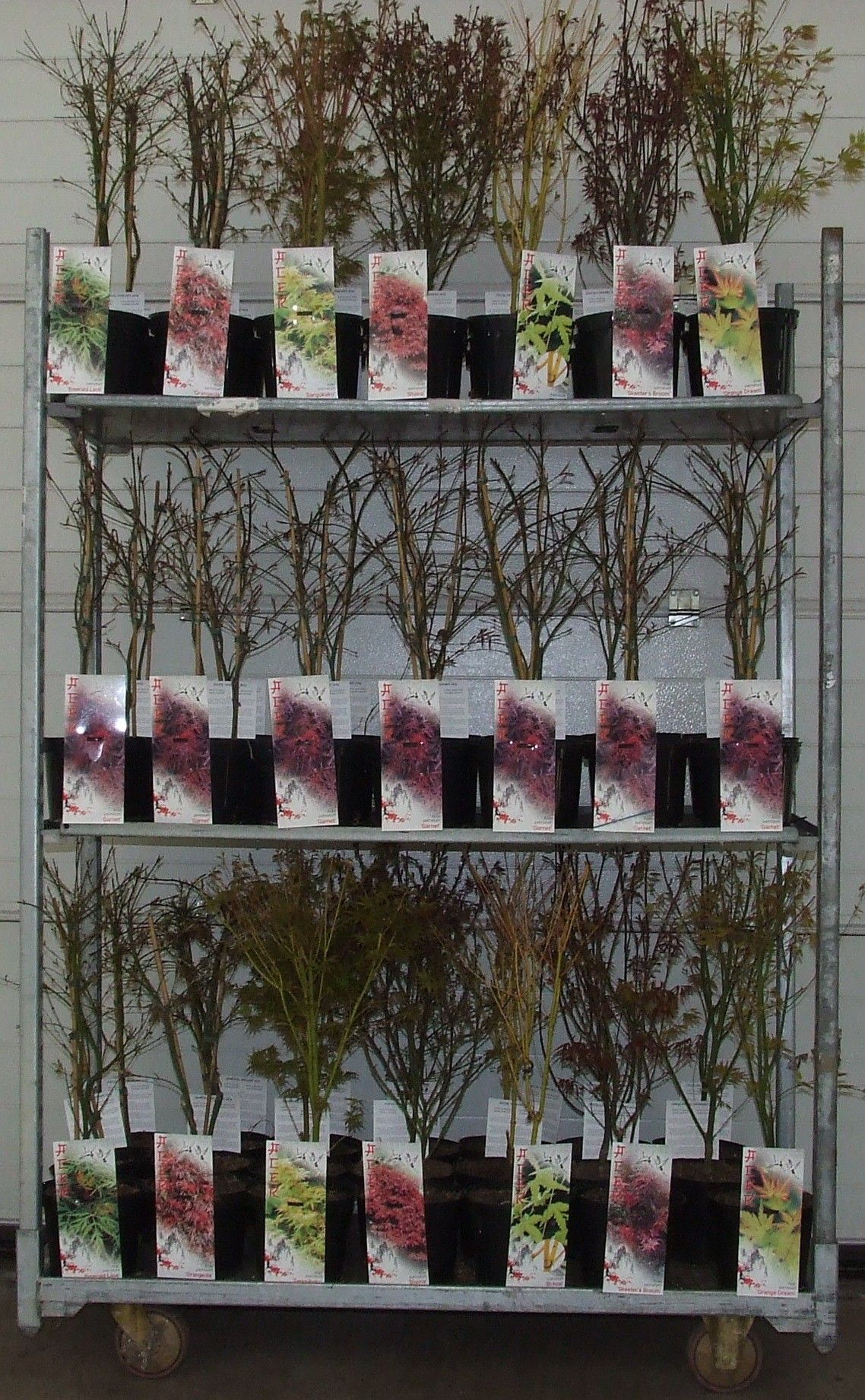 Acer mix-2 P19 Full CC, D 19