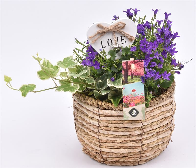 Mais mand 16cm, D 16