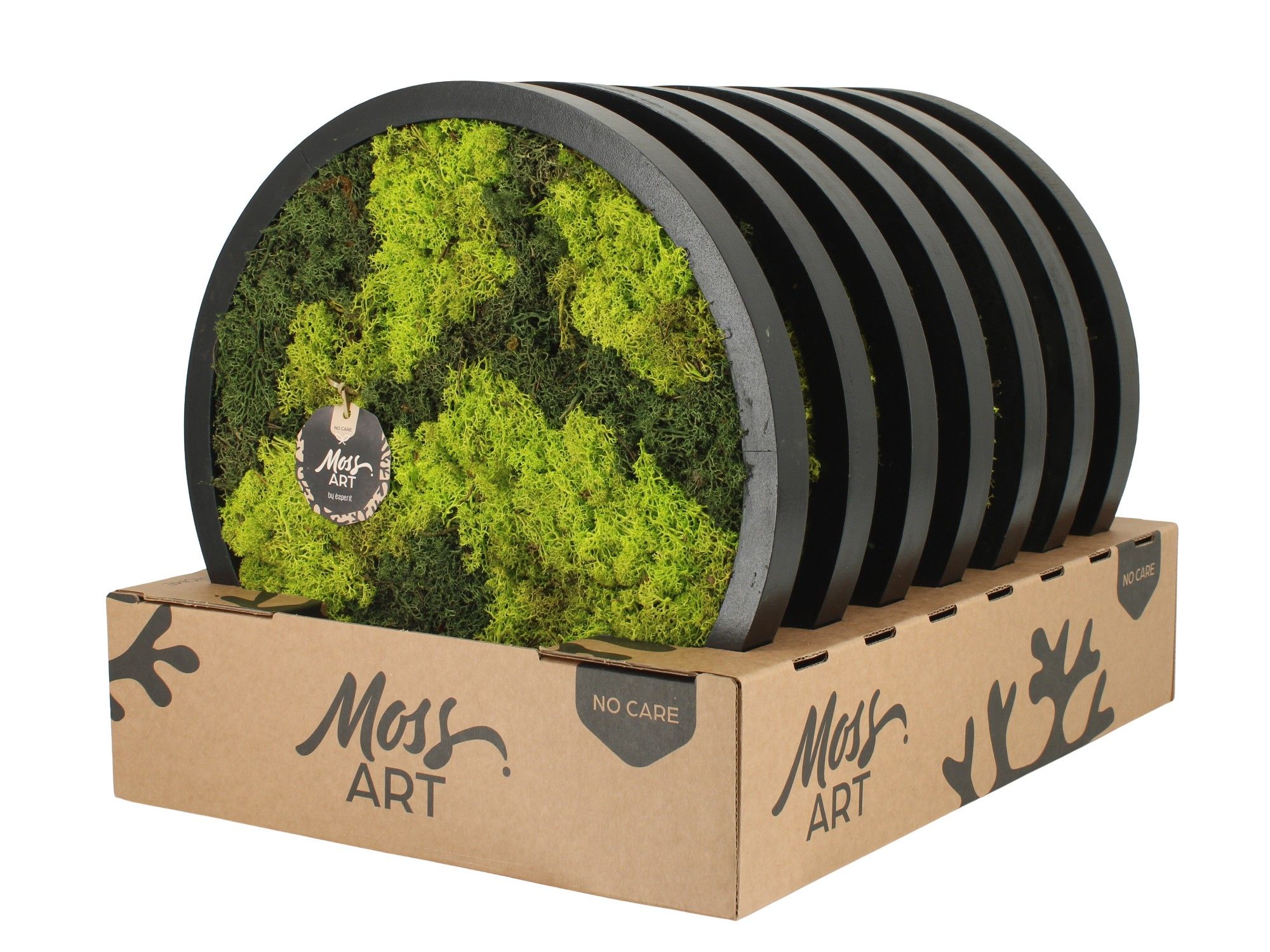 90779: Moss Art Round D38, D 38