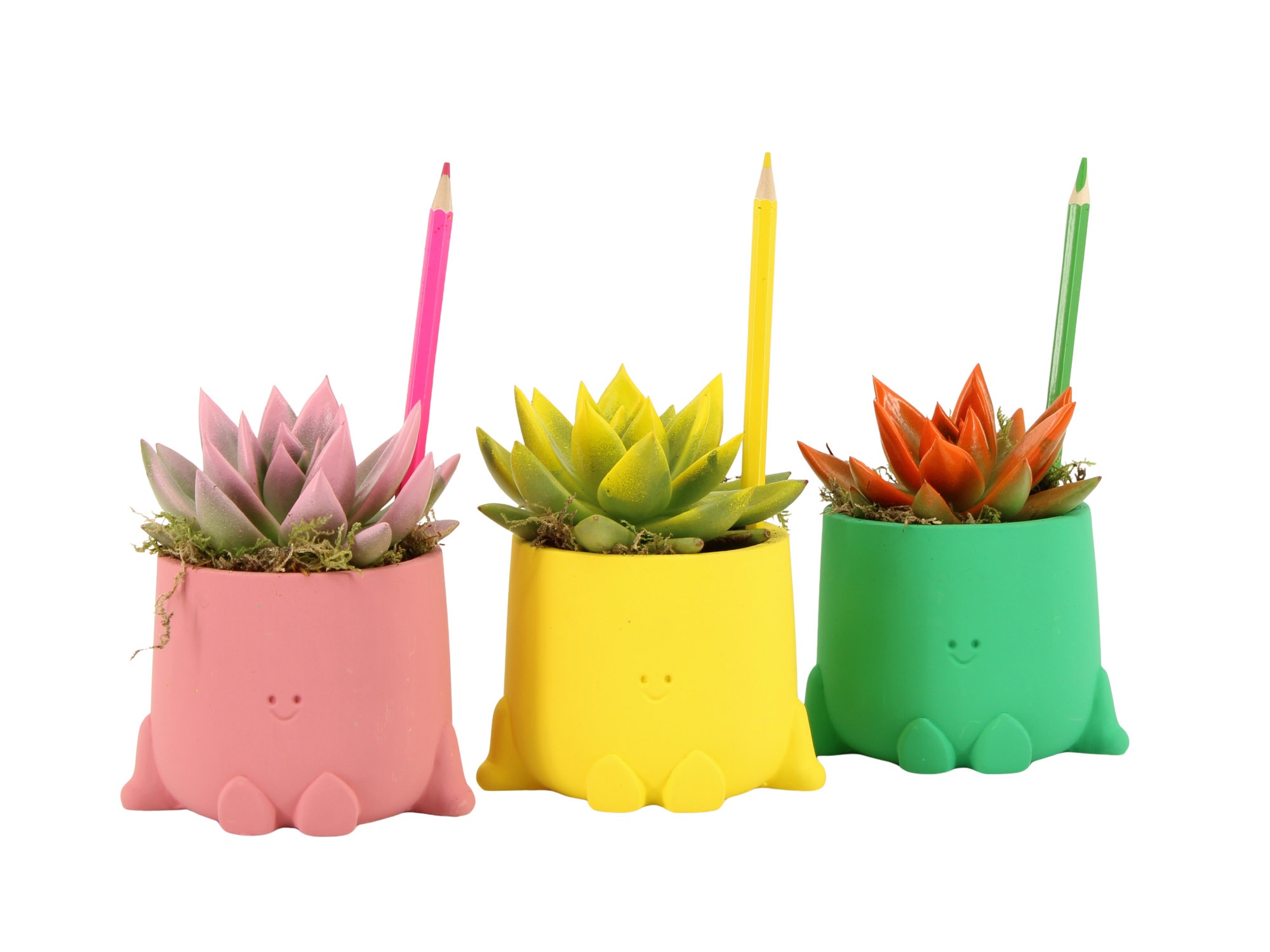 31710: Love school arrangement, D 8