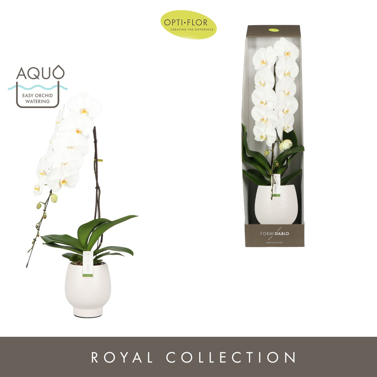 Formidablo Yosemite Falls in Abruzzo White Aquo Showdoos, D 15