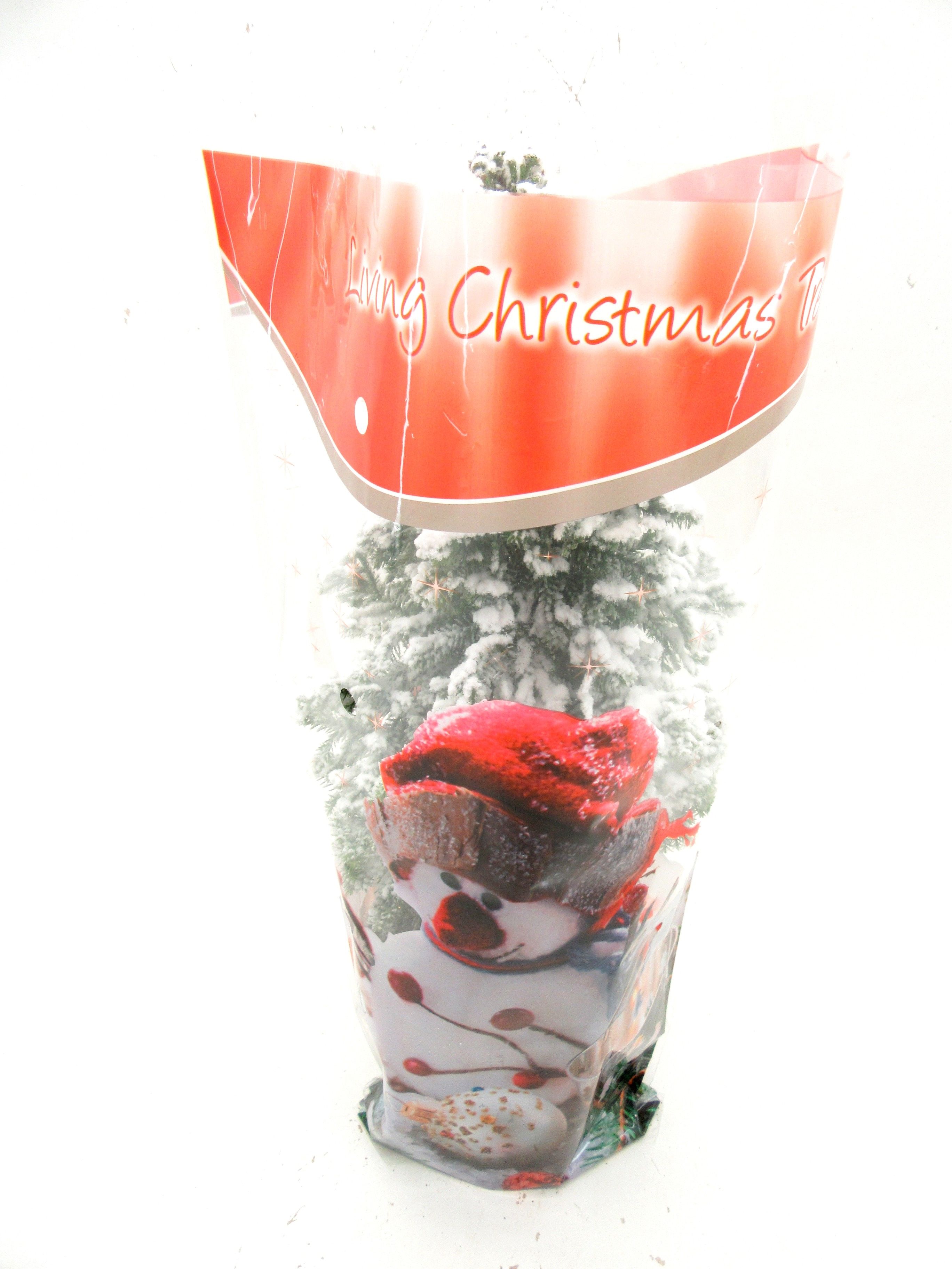 Top Point met sneeuw en kersthoes, D 15 cm