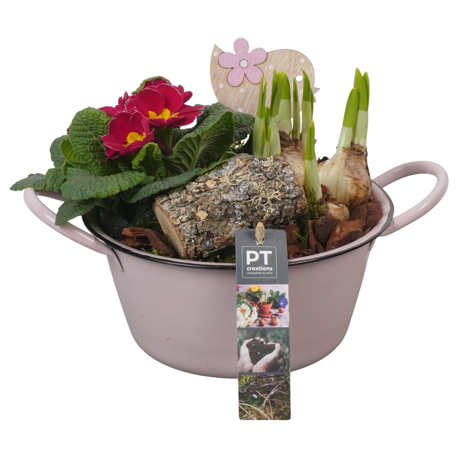 PTBM3723 Arrangement Flower Bulbs Mix in metalen schaal, D 19