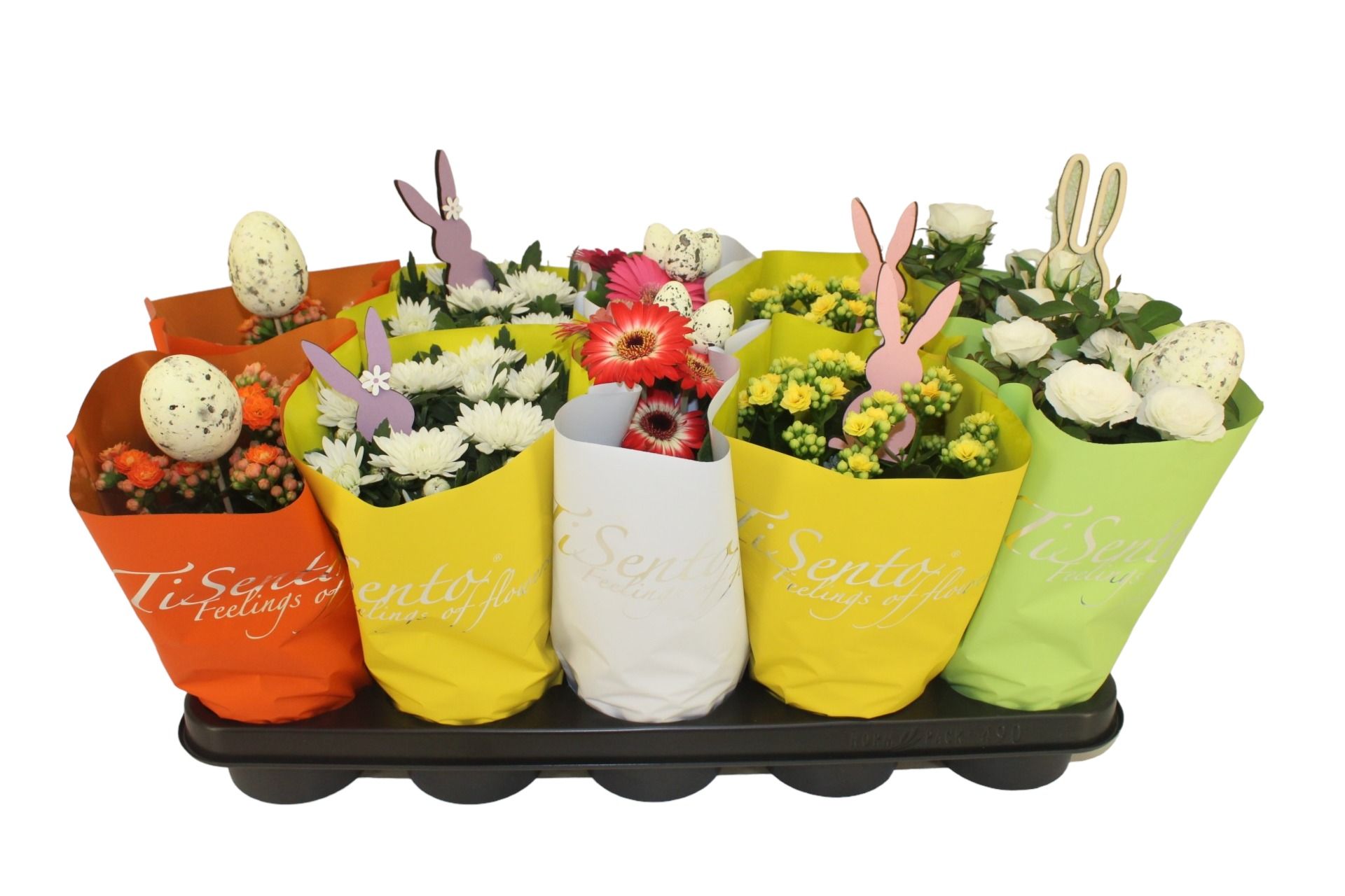 Bloeimix 12 cm | Pasen | + steker, D 12