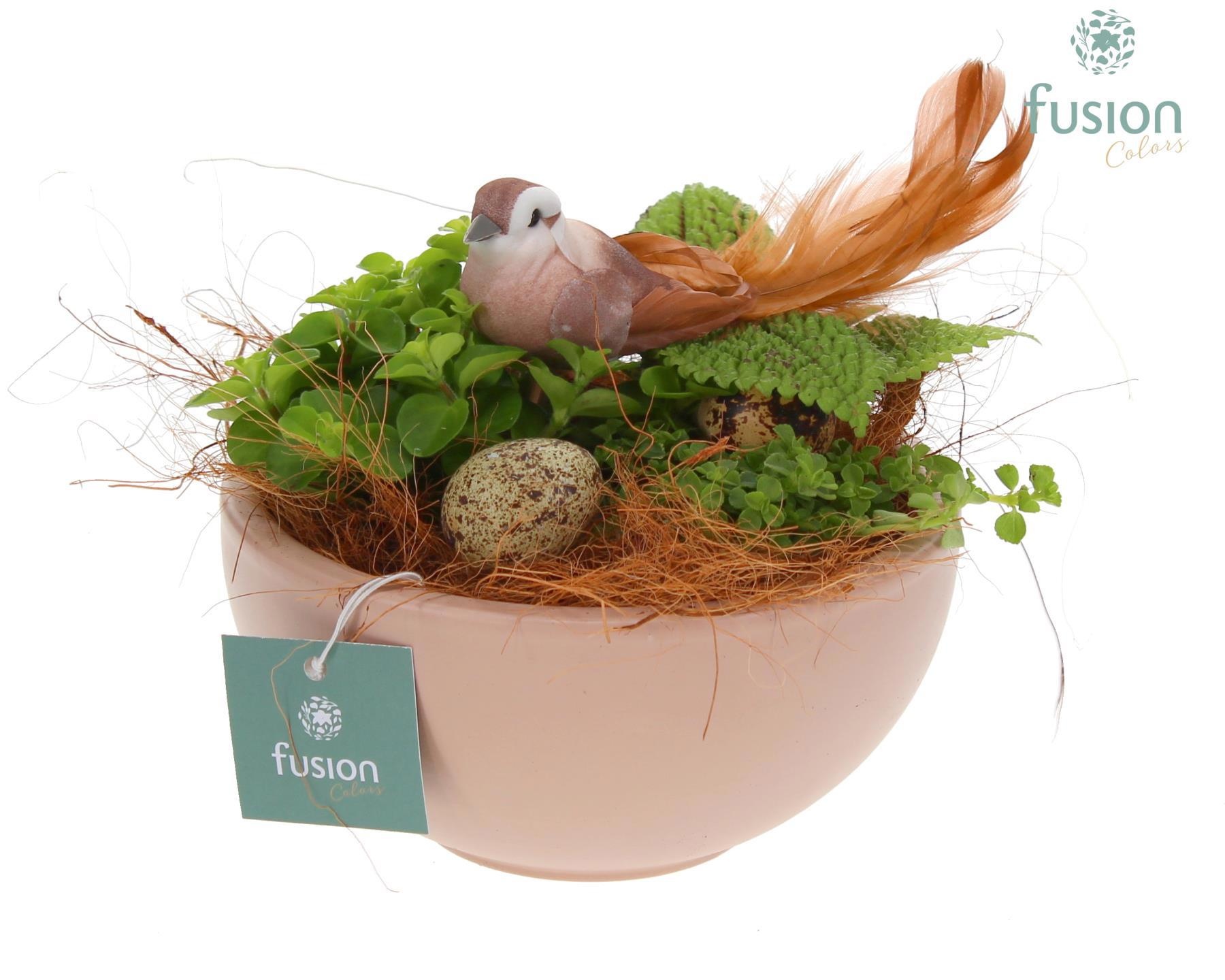 Schaal keramiek Moon Small blush pink Pasen met Arrangement, D 15