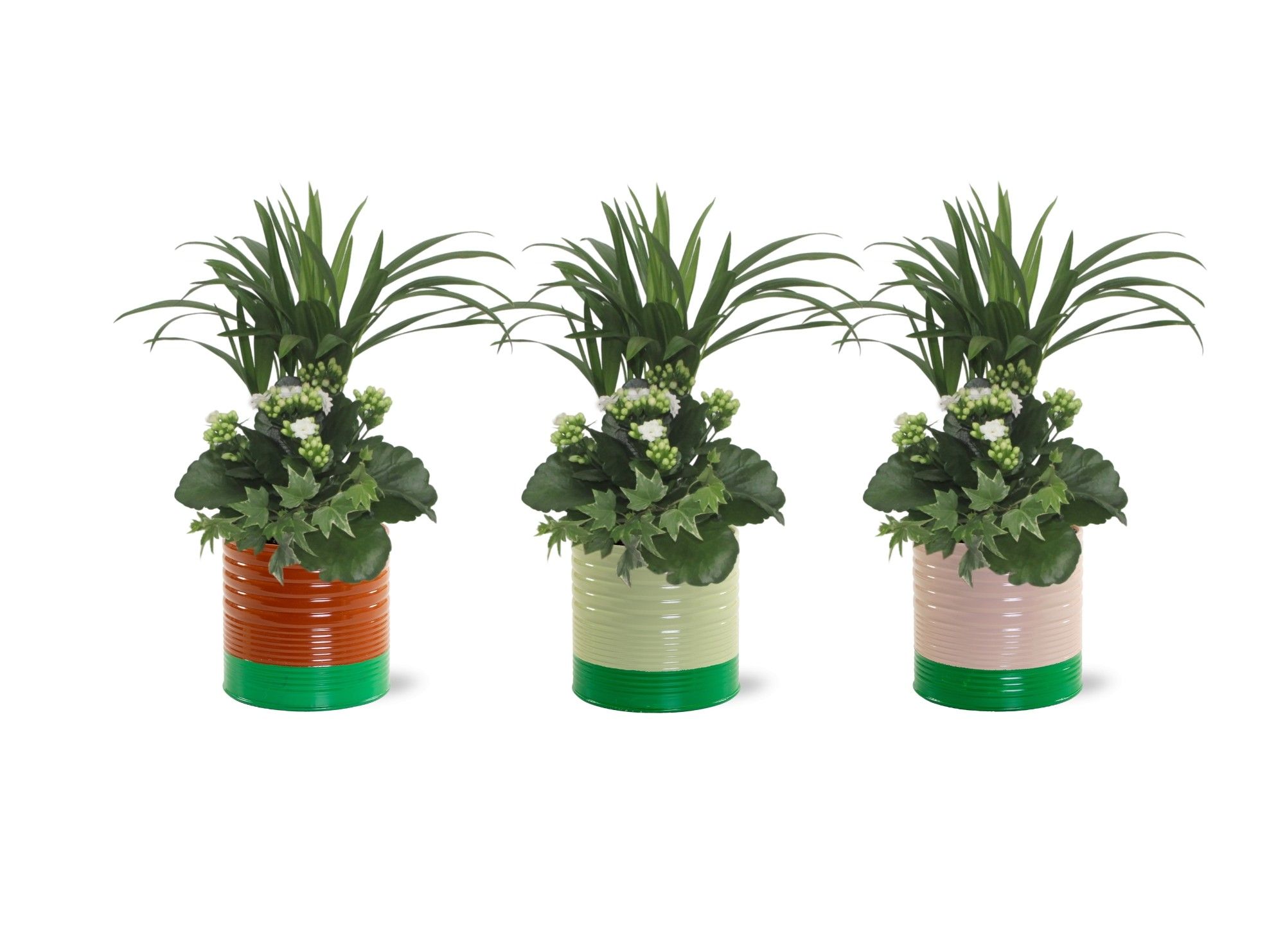 Collectie "Natural Bubble" Arrangement Wit in Zink Nola, D 13