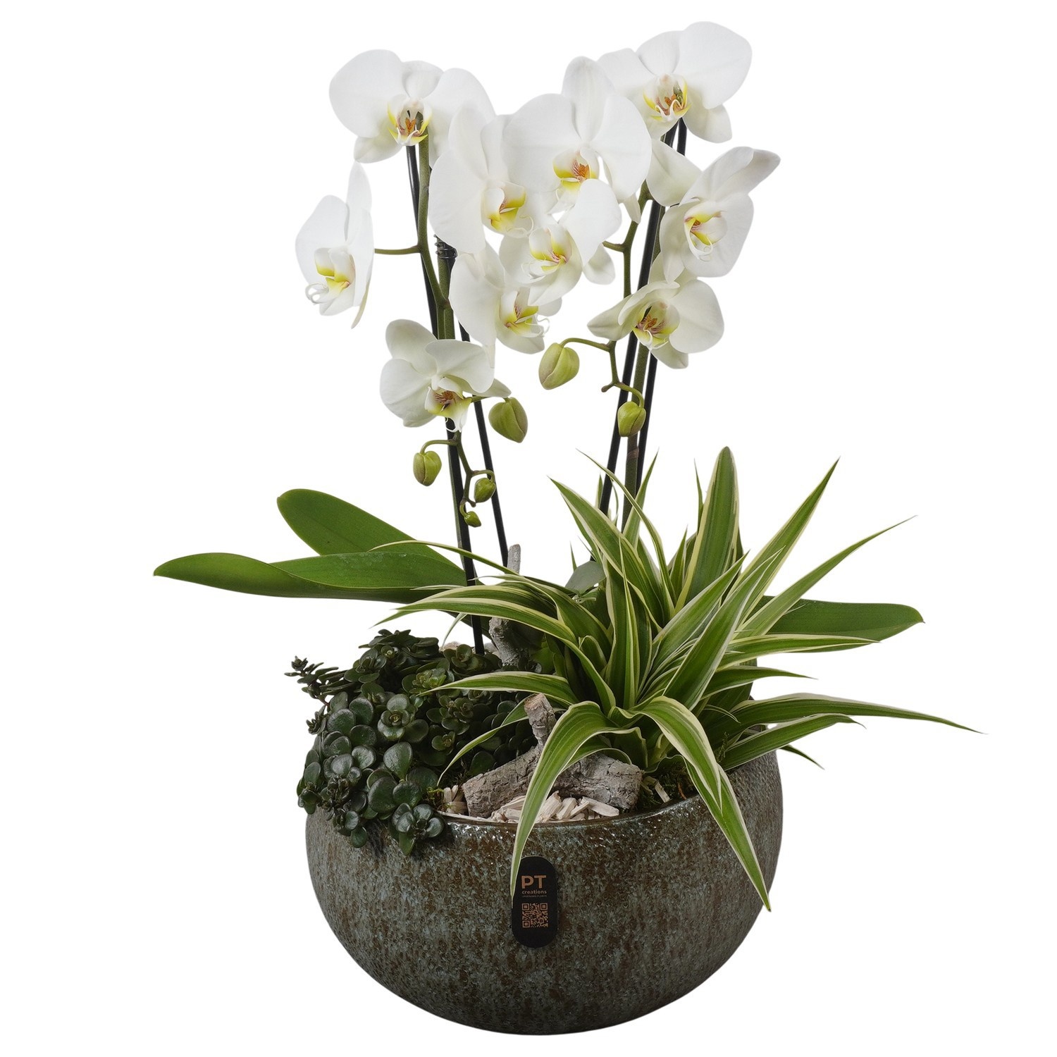 PTIB5333 Arrangement Indoor in keramiek schaal, D 26