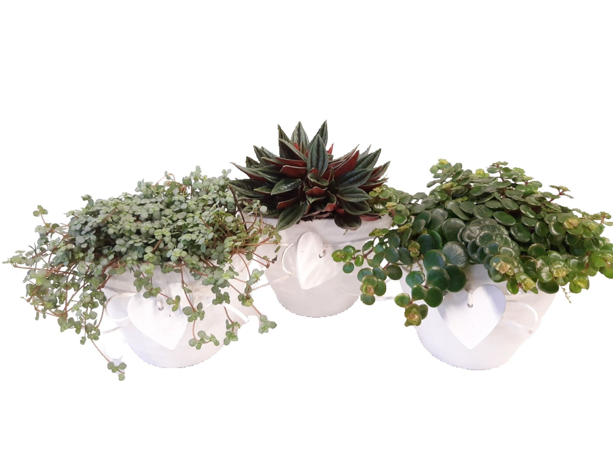 WHH14GEM Ovale pot 14cm white + heart, D 15