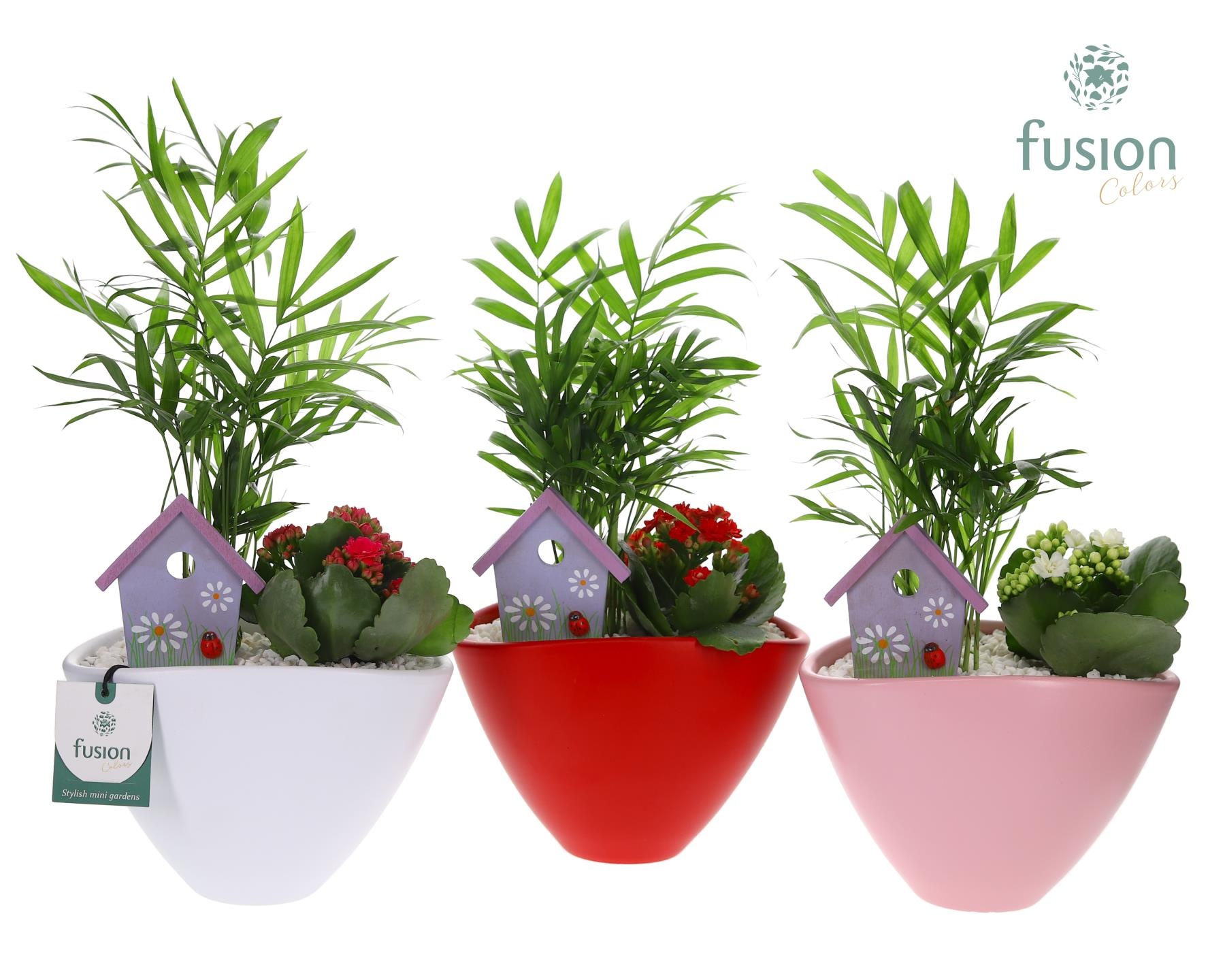 Pot keramiek ovaal Medium met Arrangement, D 18