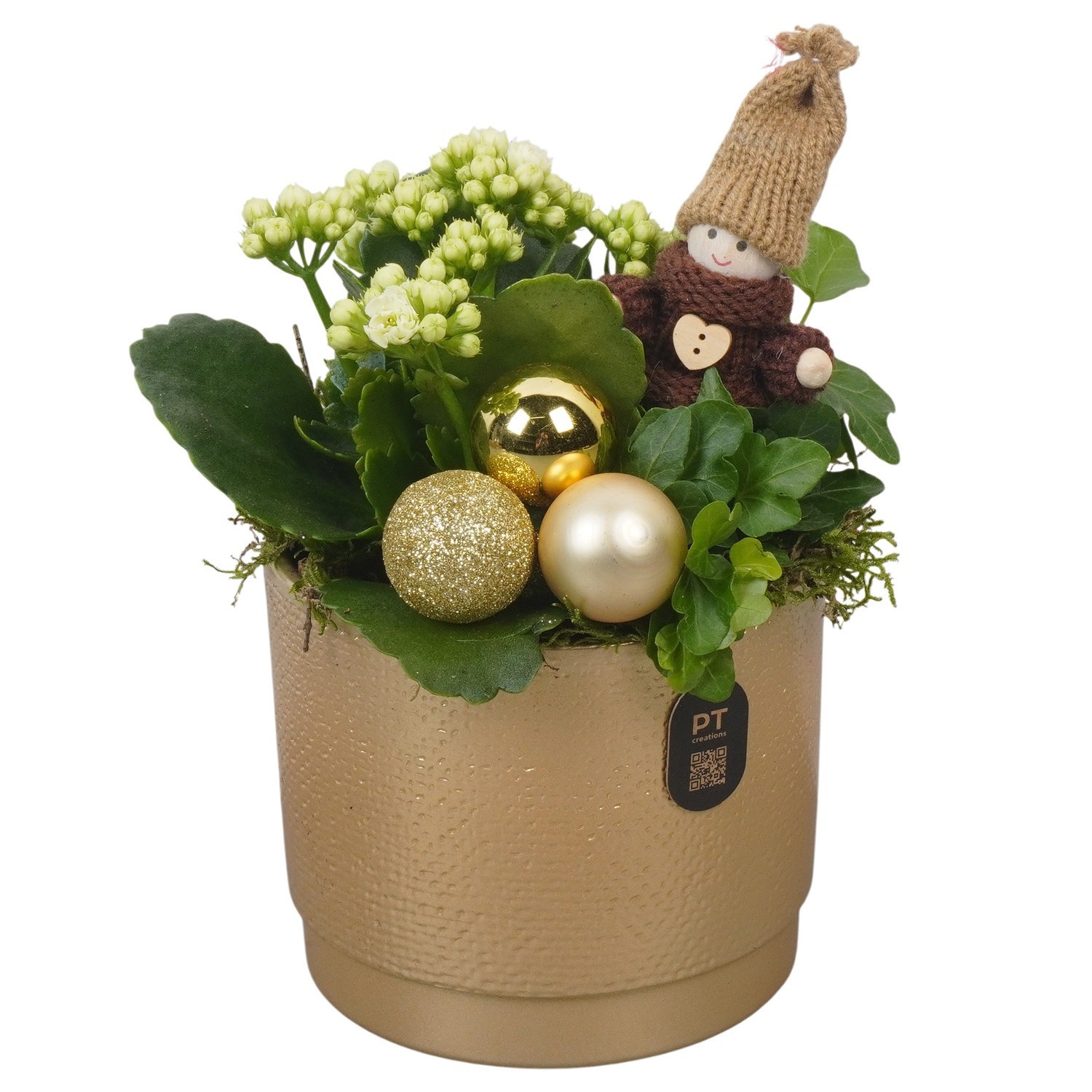 PTCHG4672 Arrangement Christmas Gold in keramiek pot, D 12