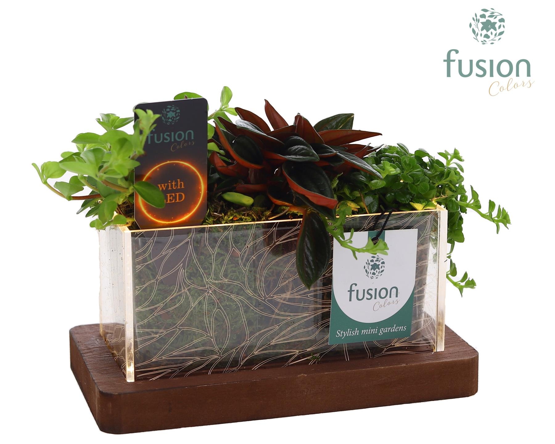 Acryl bakje LED rechthoek met groen Arrangement, D 19