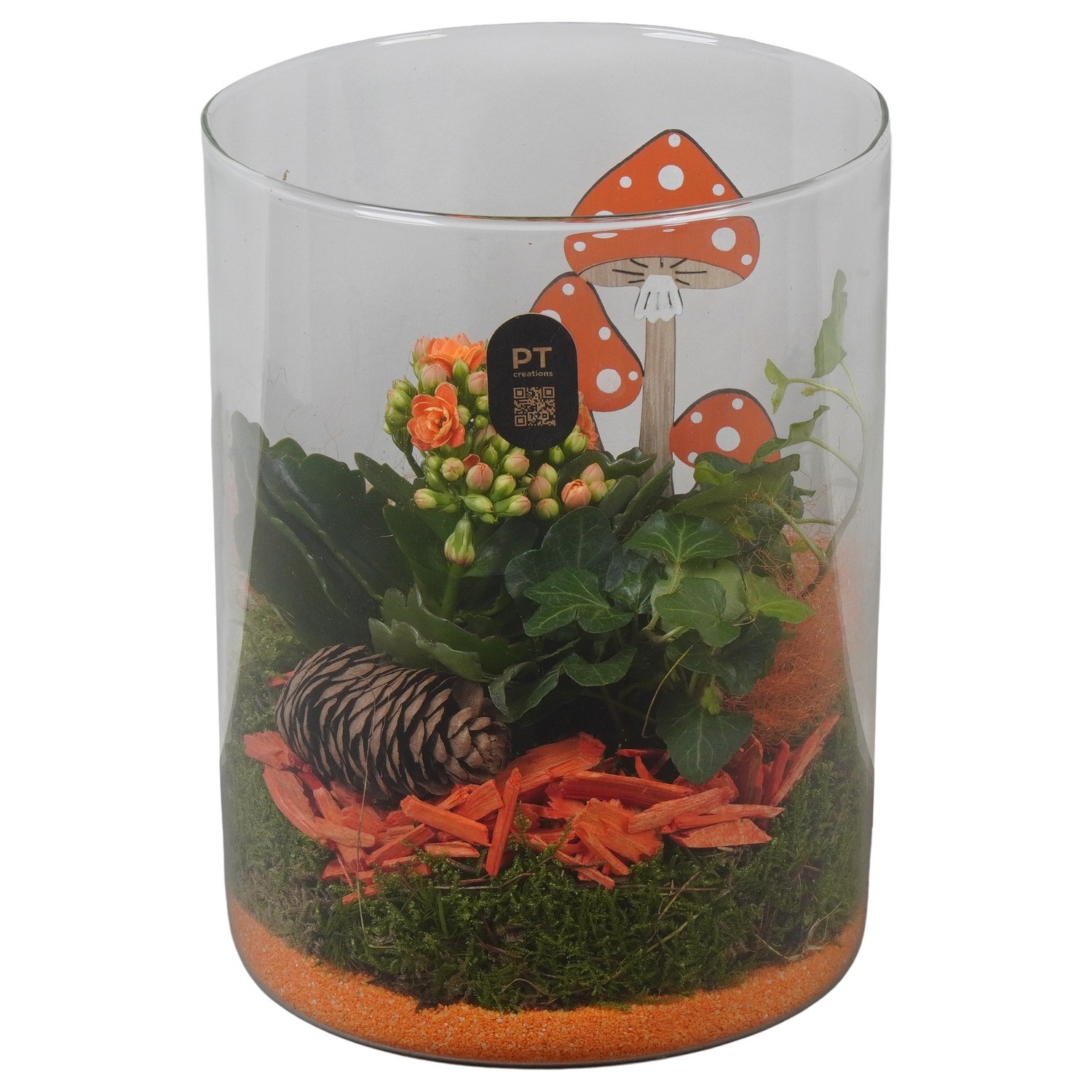 PTHG8210 Arrangement Autumn Glass in glas cylinder, D 15