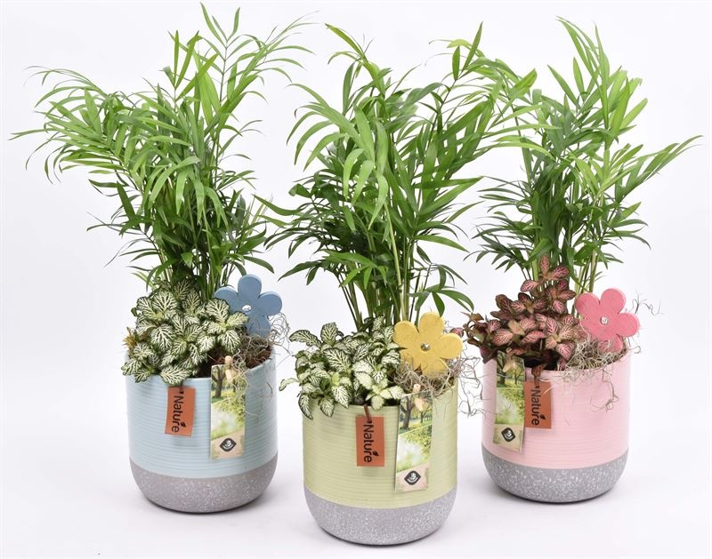 Keramiek pot met label 3 kl. 13cm, D 13
