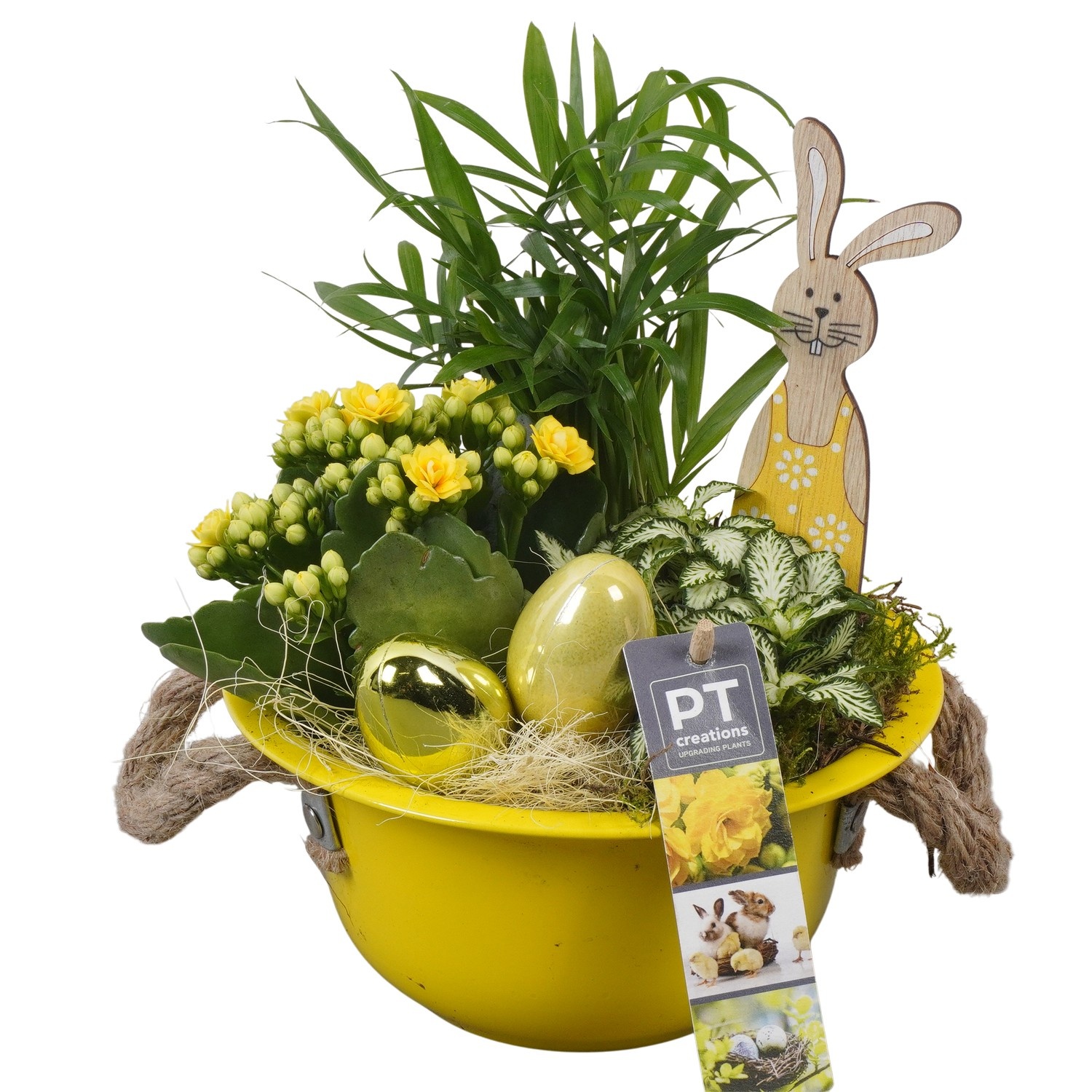 PTPB6402 Arrangement Easter in zink schaal, D 18