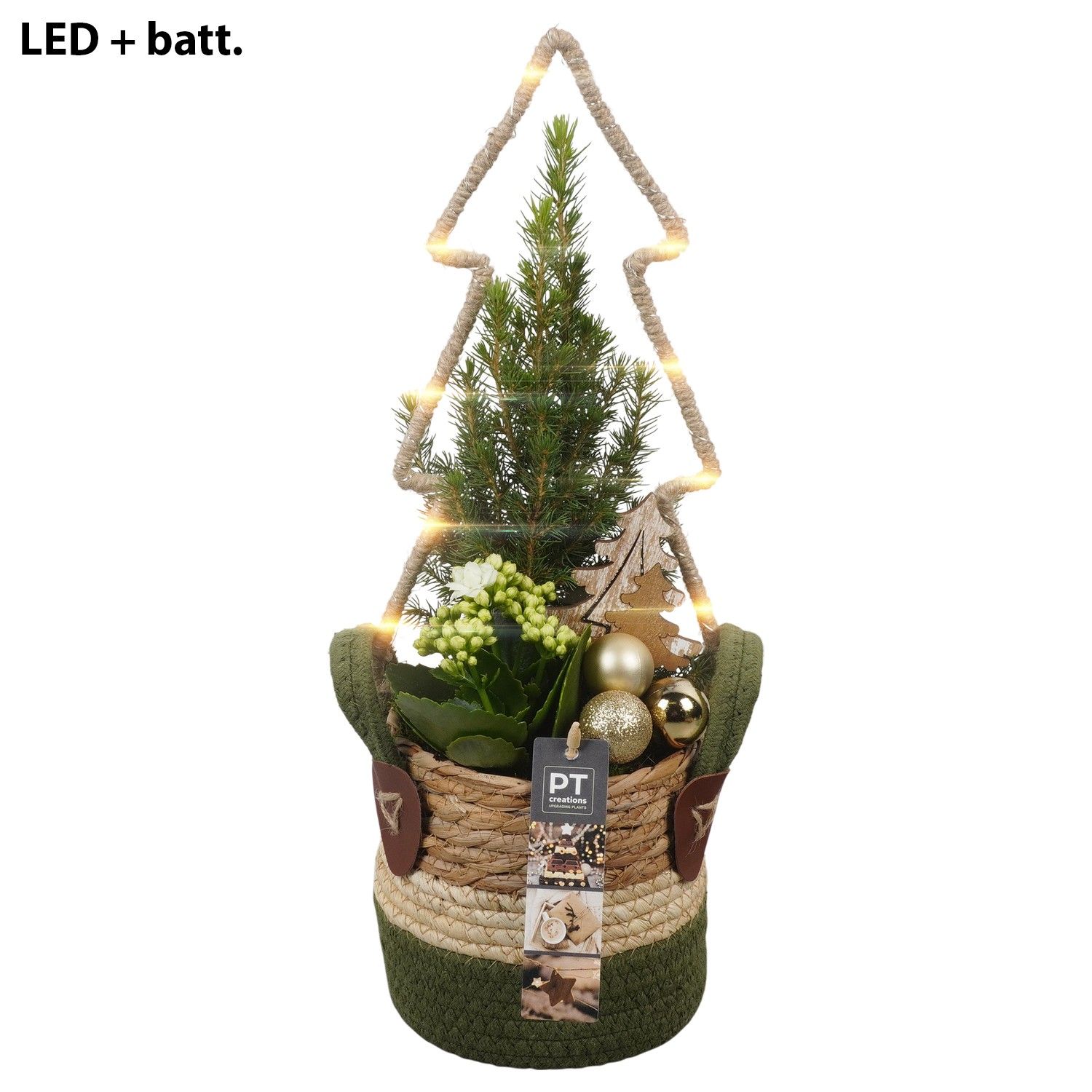 PTCHG5689 Arrangement Christmas Gold in rieten mand, D 13 cm