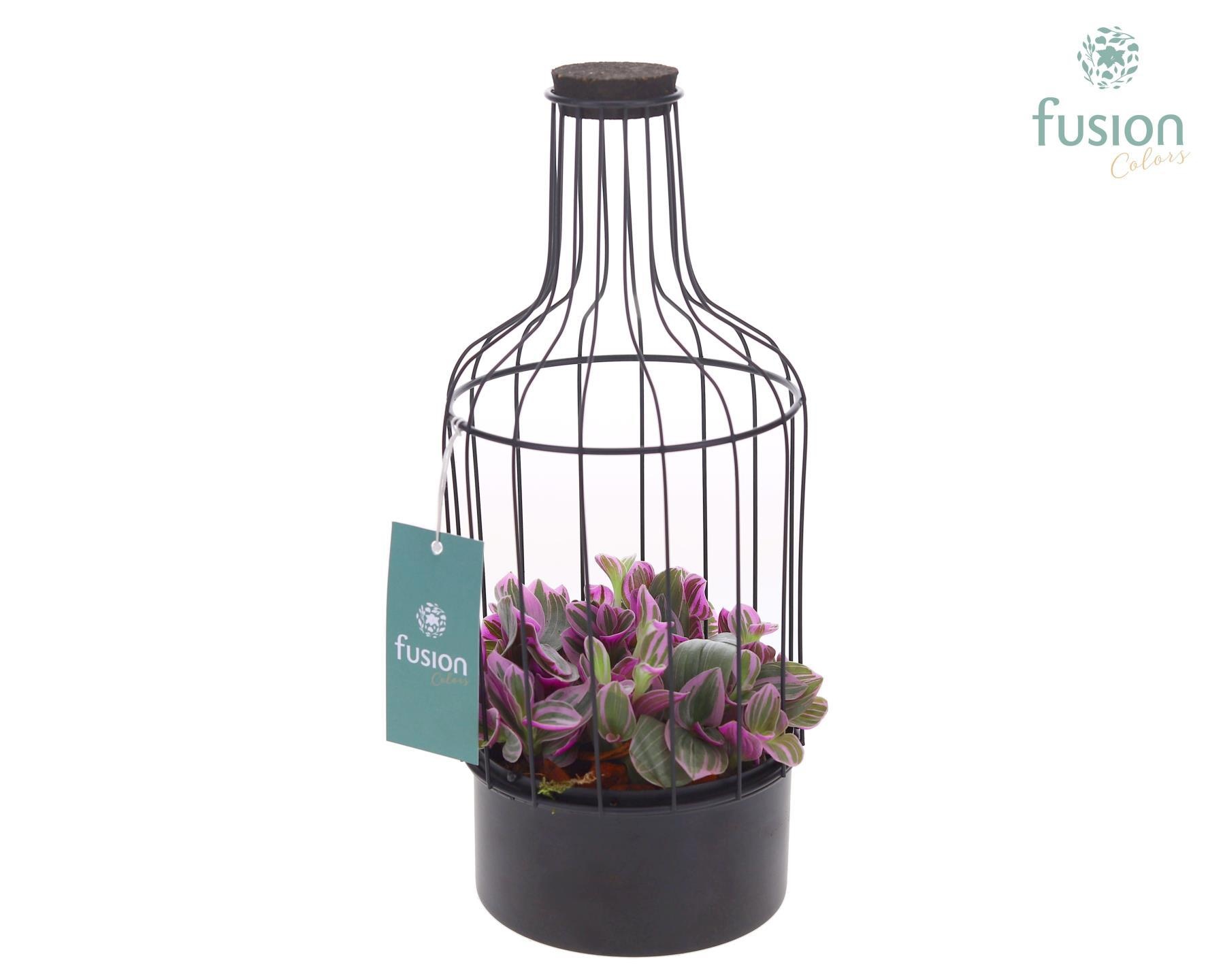 Metalen fles zwart klein met Tradescantia, D 13