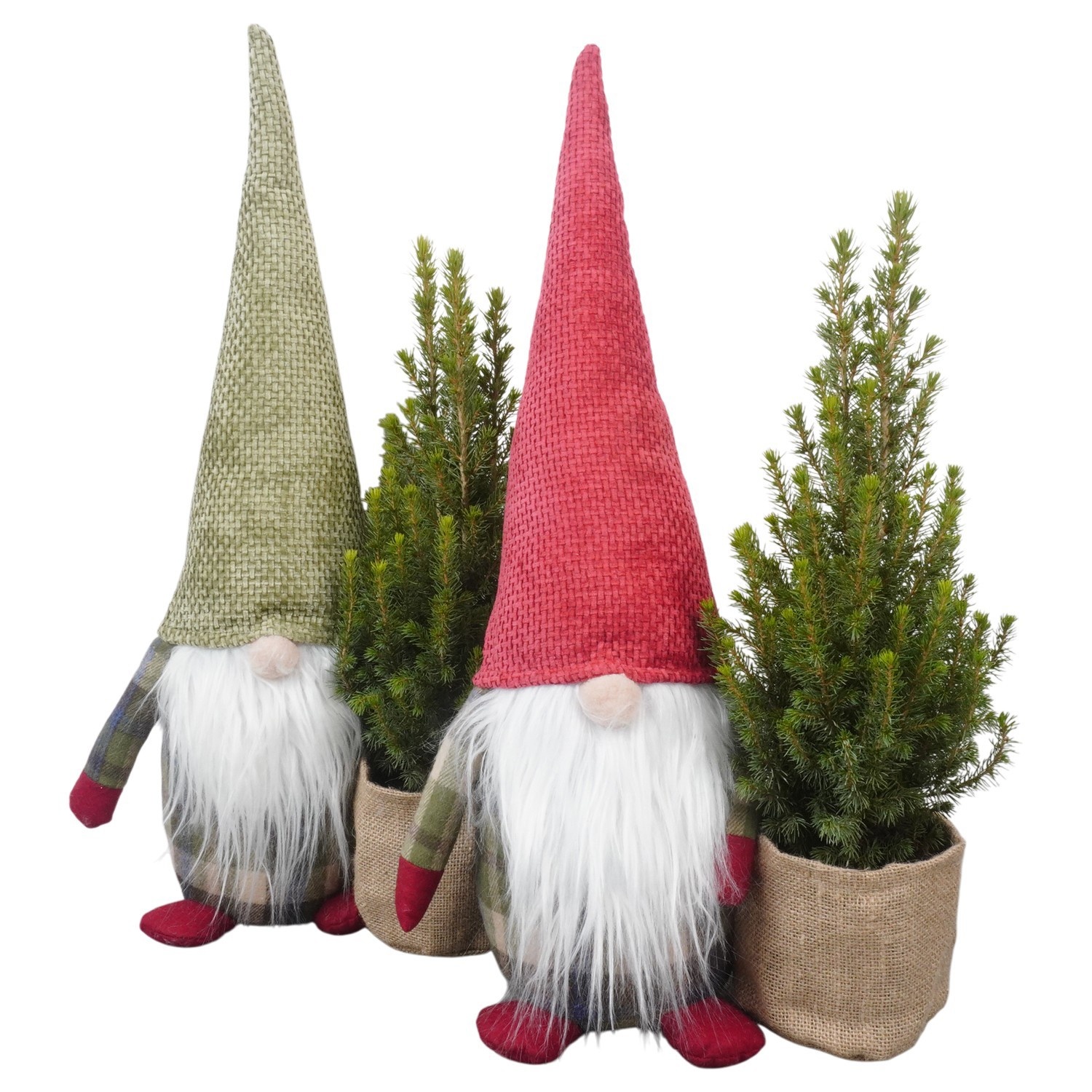 PTK26370 Ellwoodii in stoffen gnoom, D 33