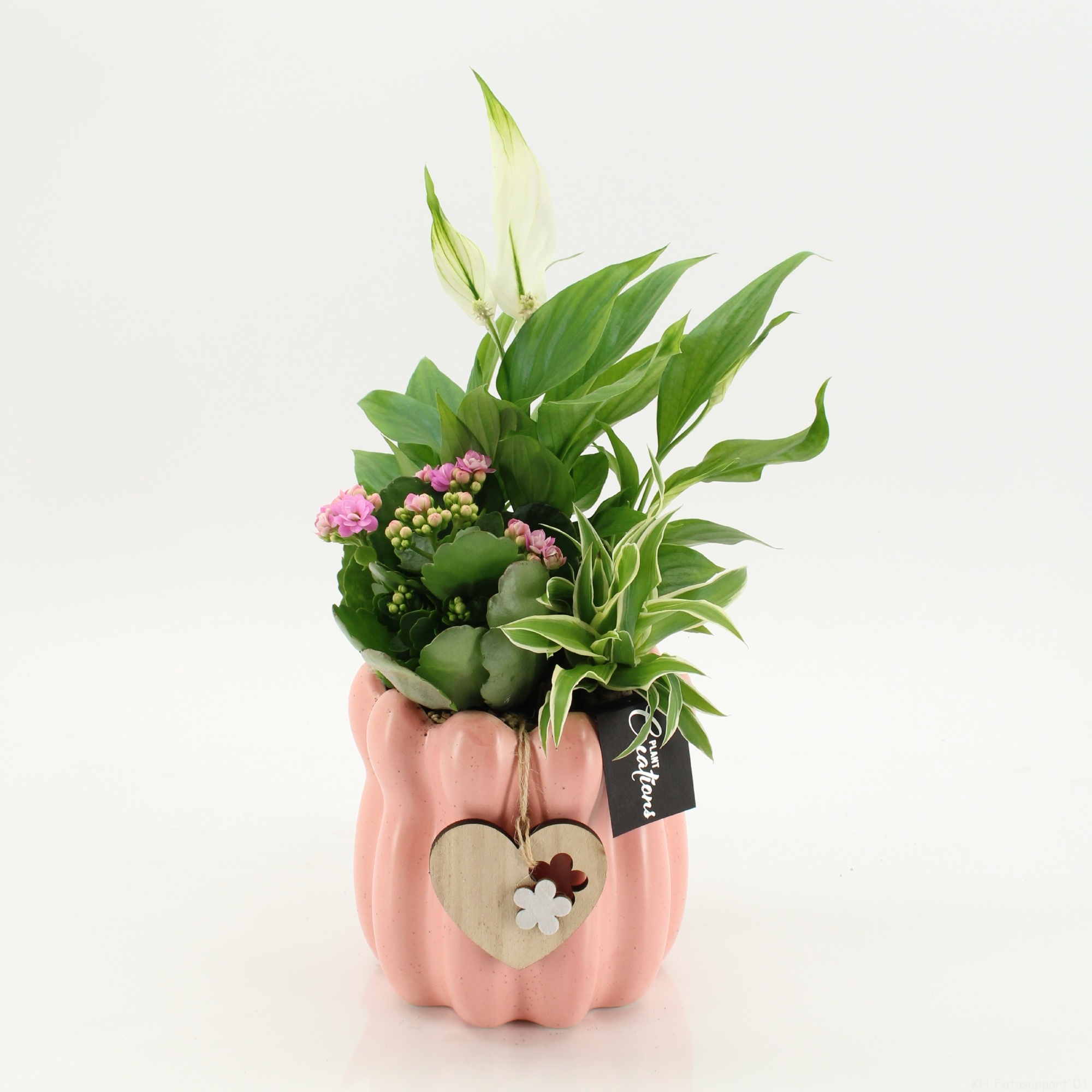 FRMD-2606RZ Bonne Fete Maman, D 14