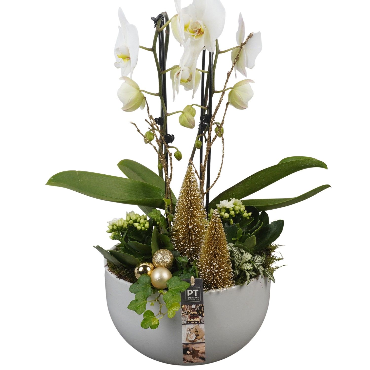 PTCHG5630 Arrangement Christmas Gold in keramiek schaal, D 26 cm